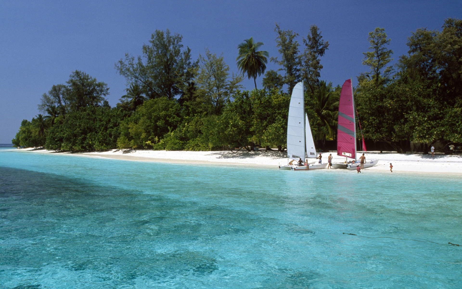 风景,海洋天堂,2012Y十月31D,儿童桌面专用