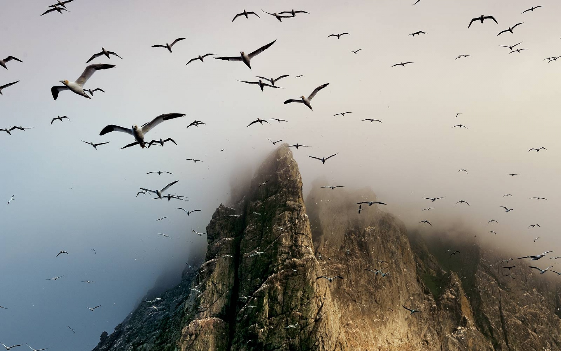 世界地理,动物,高清,2012Y十一月01D,儿童桌面专用