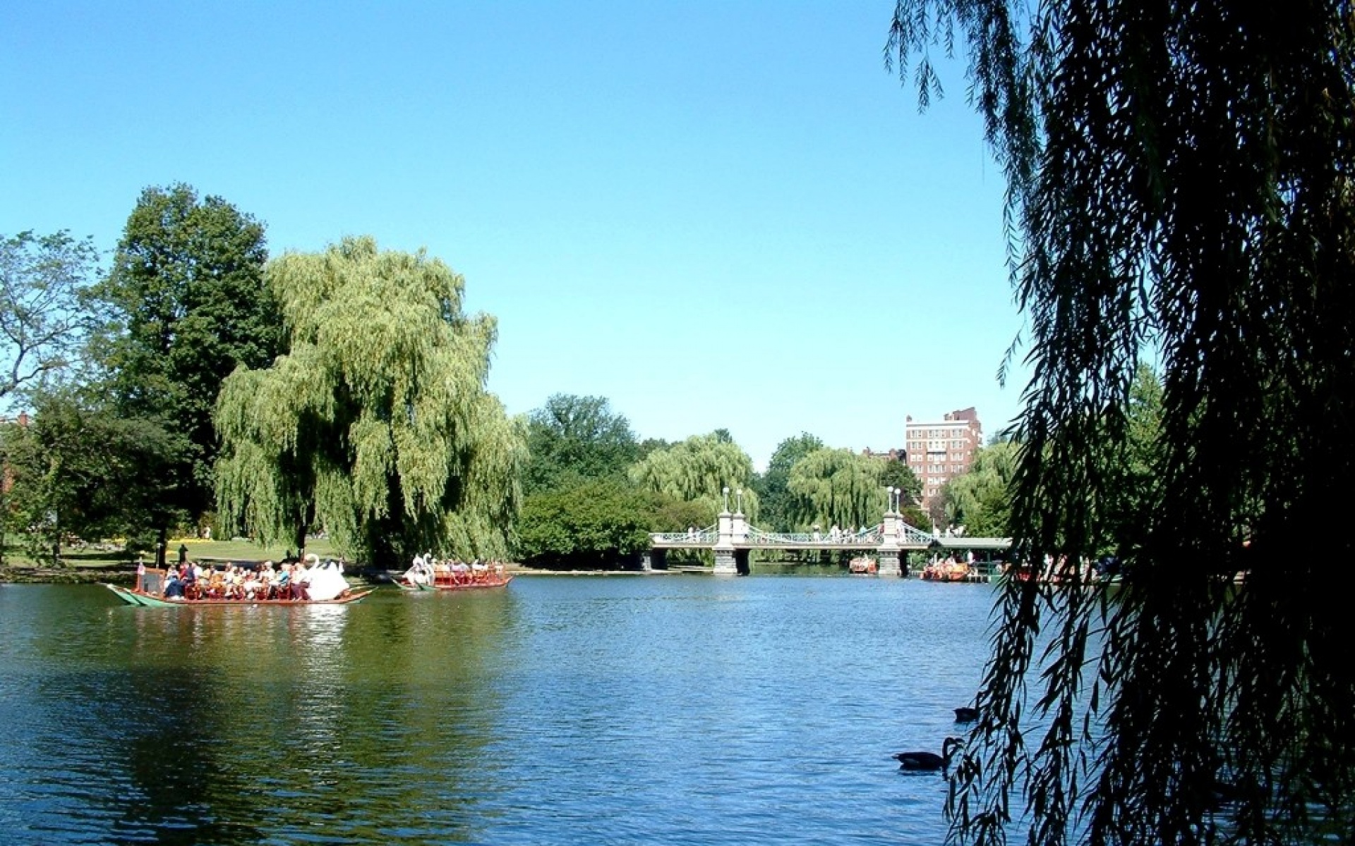 风景,自然风光,2012Y十一月11D,儿童桌面专用