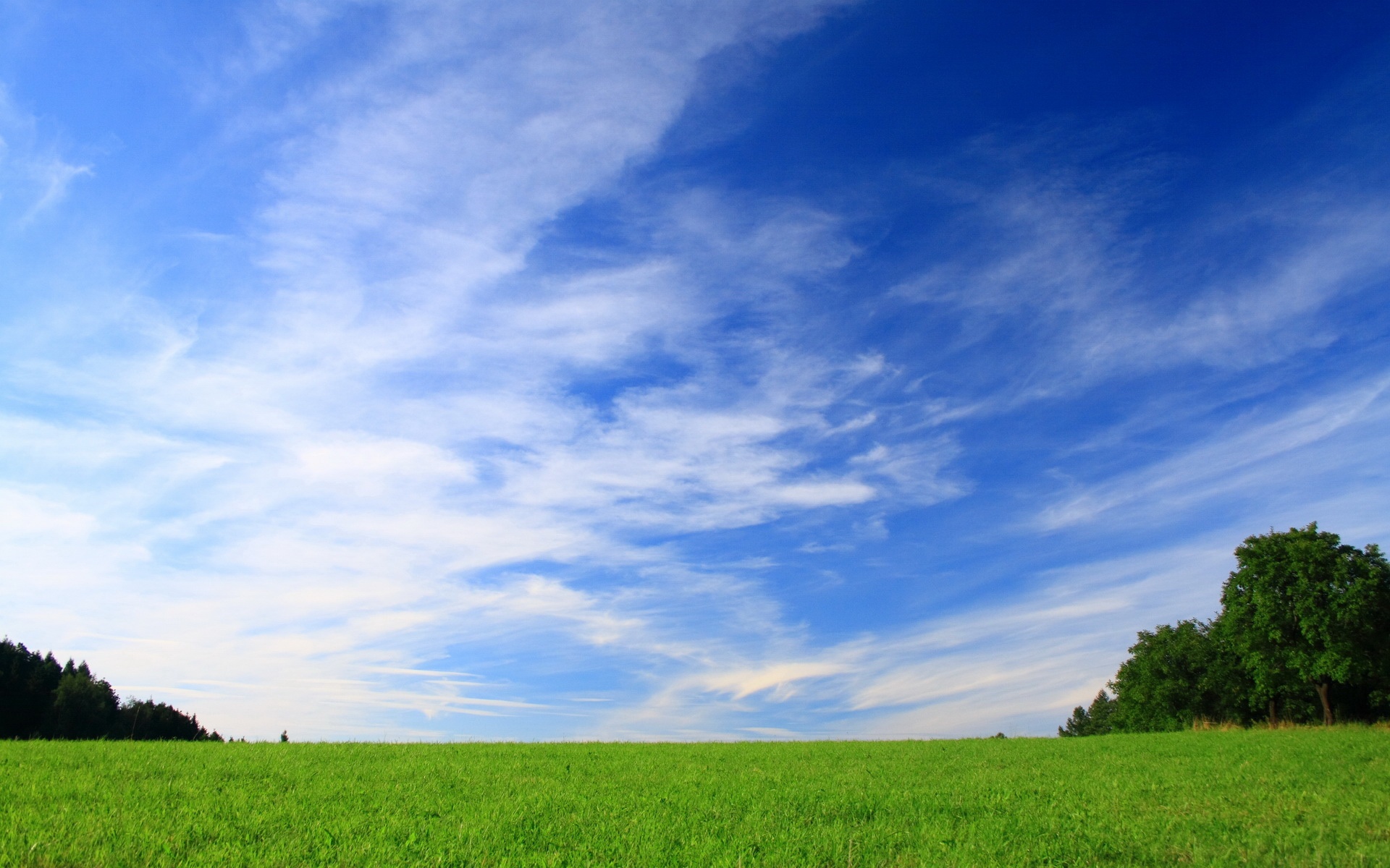 风景,碧绿草原,2012Y十月31D,儿童桌面专用