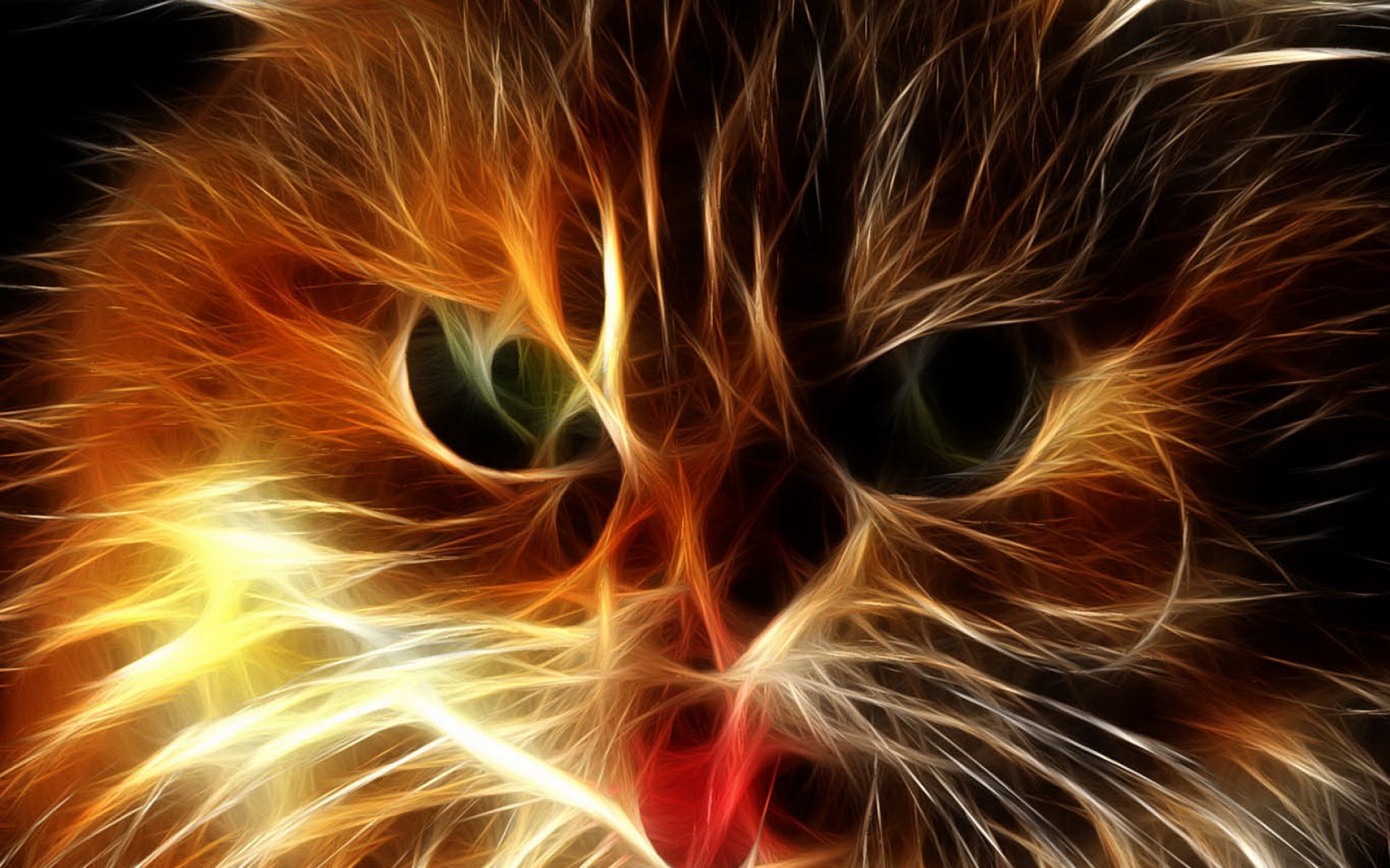 光线,描绘,猫科,动物,2012Y十一月04D,儿童桌面专用