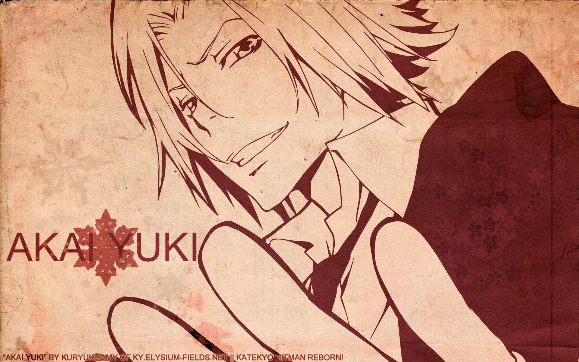 家庭教师,REBORN,动漫,2012Y十一月03D,儿童桌面专用