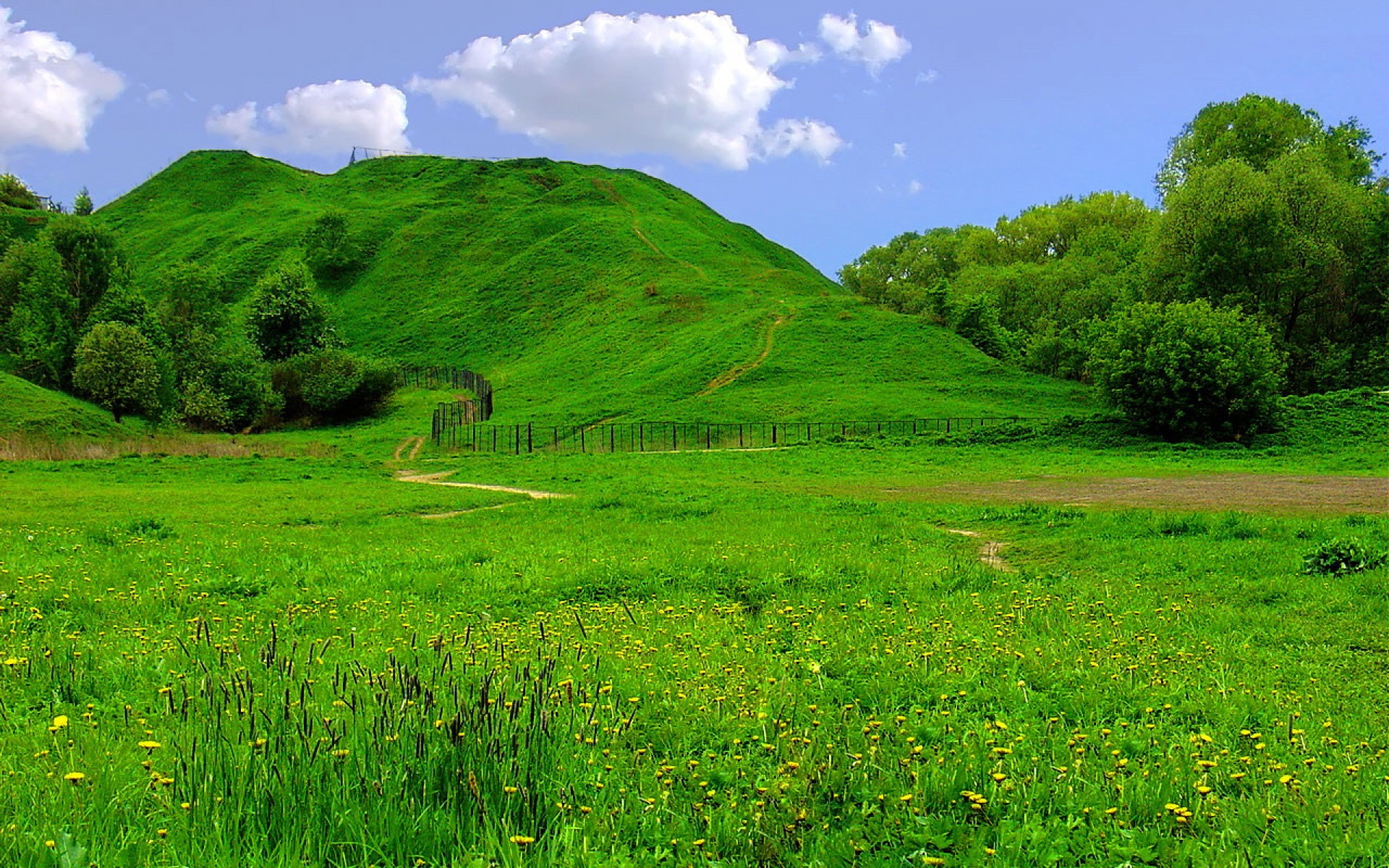 风景,碧绿草原,2012Y十一月10D,儿童桌面专用