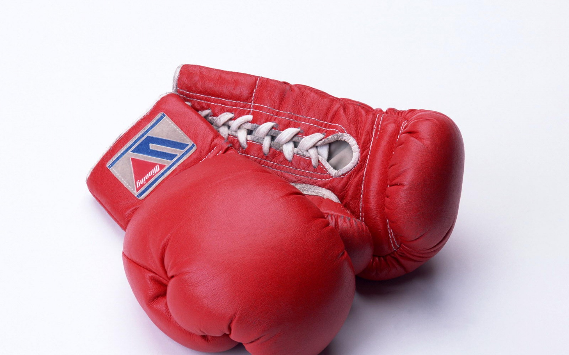 运动,2012Y十一月12D