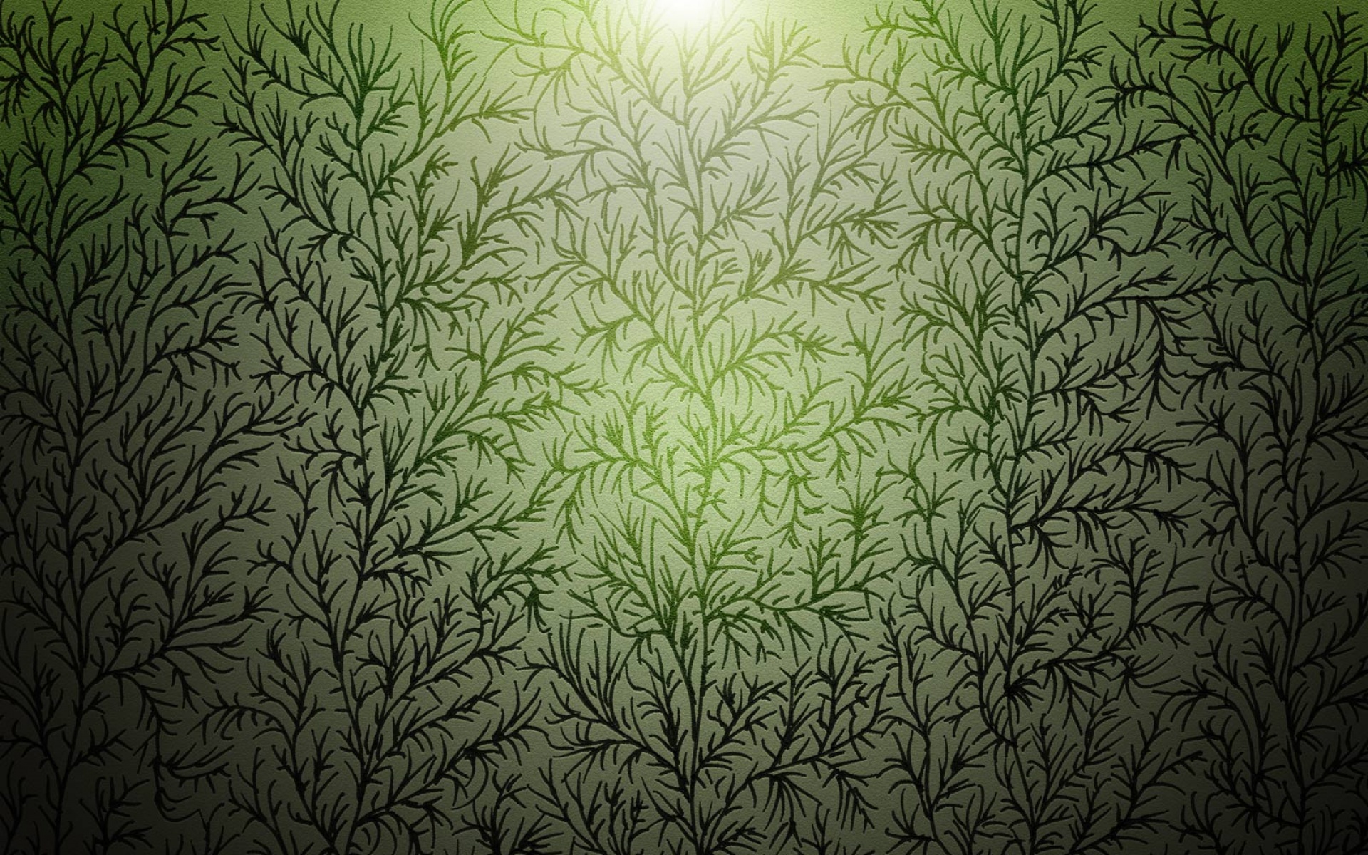 设计,简约,绿色,儿童桌面专用