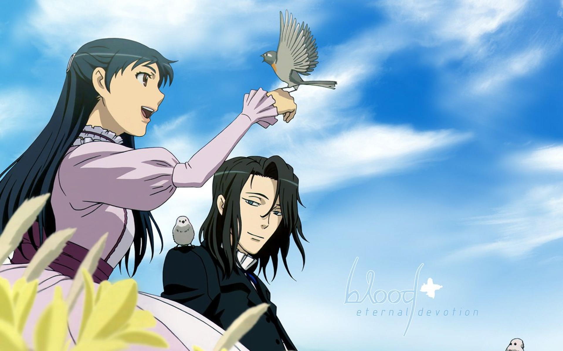 nignen,出品,经典,动画,动漫,2012Y十一月21D,儿童桌面专用