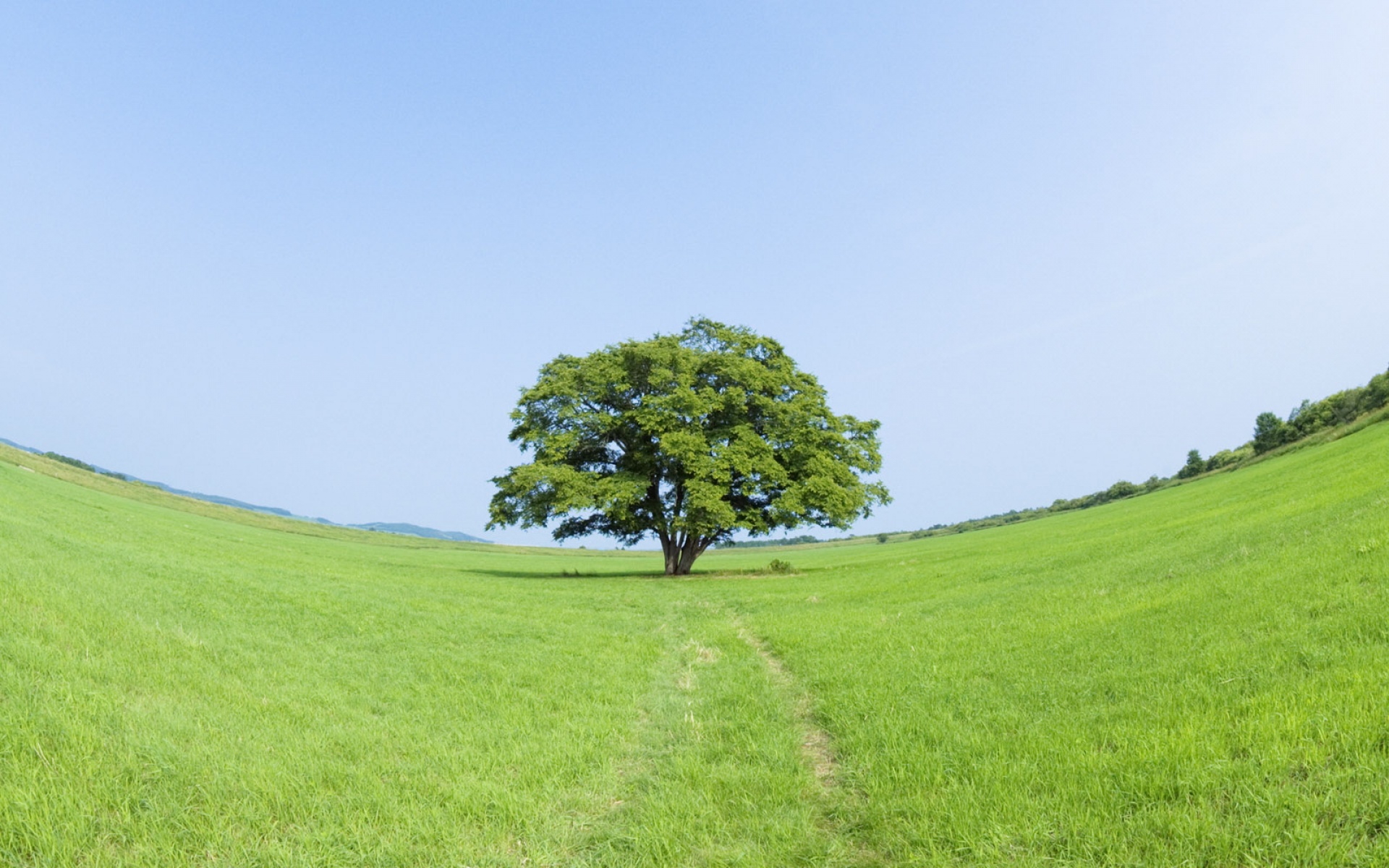 风景,自然风光,2012Y十一月11D,儿童桌面专用