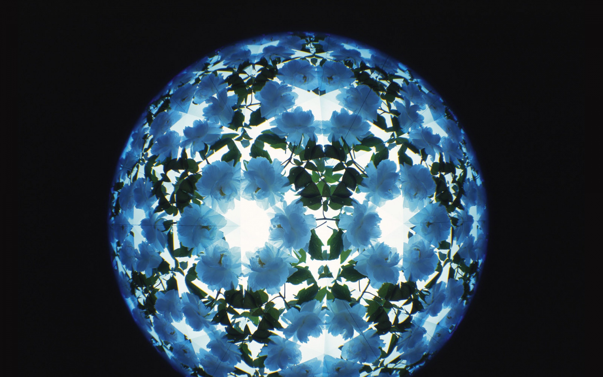 设计,简约,蓝色,儿童桌面专用