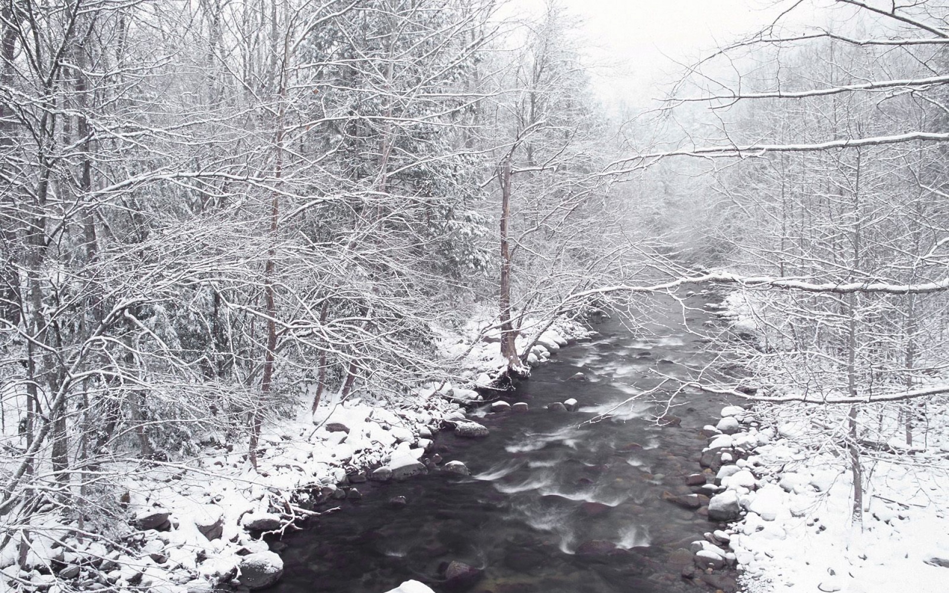 风景,冰天雪地,2012Y十一月04D,儿童桌面专用