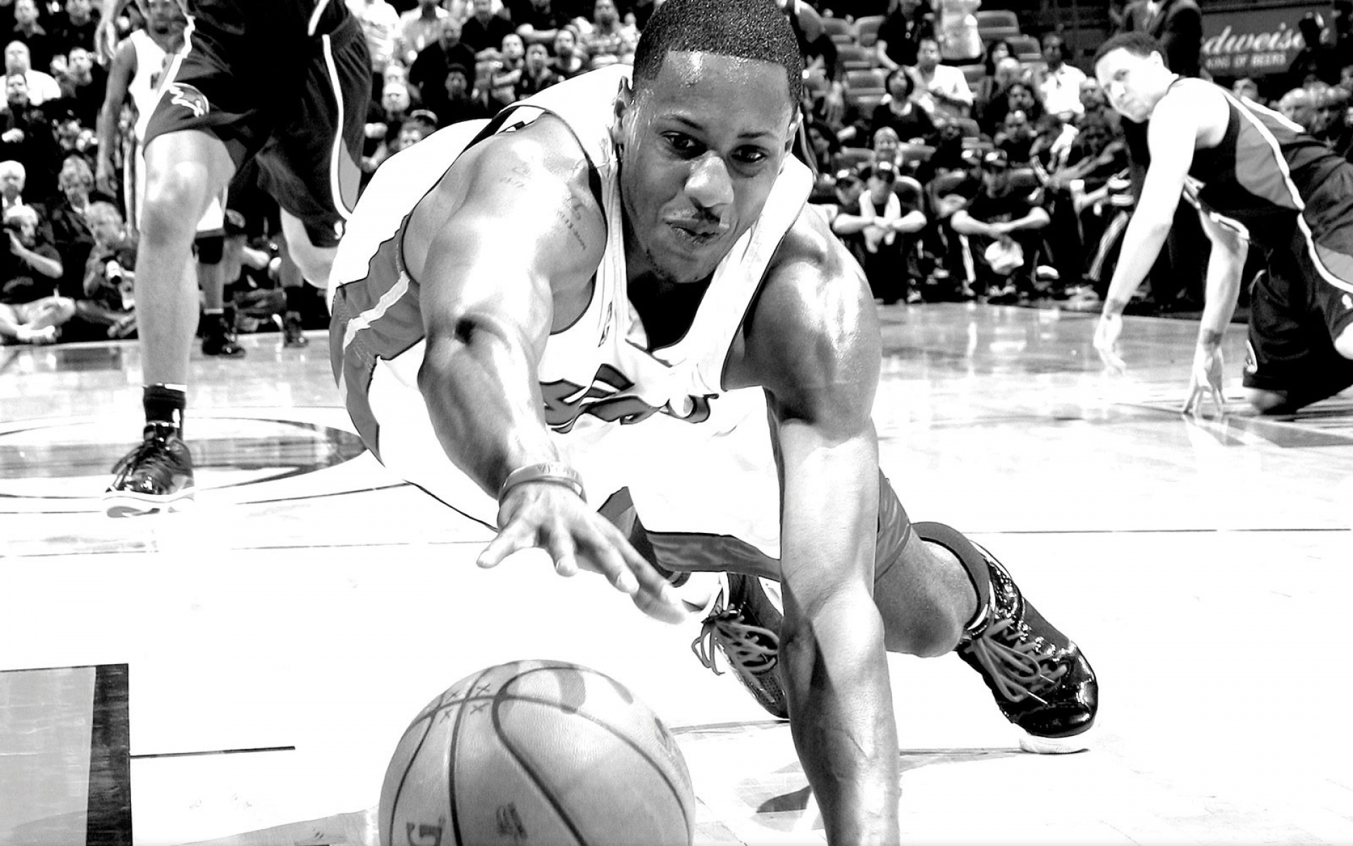 白热,2012,季后赛,NBA,热火队,体育,运动,2012Y十一月03D