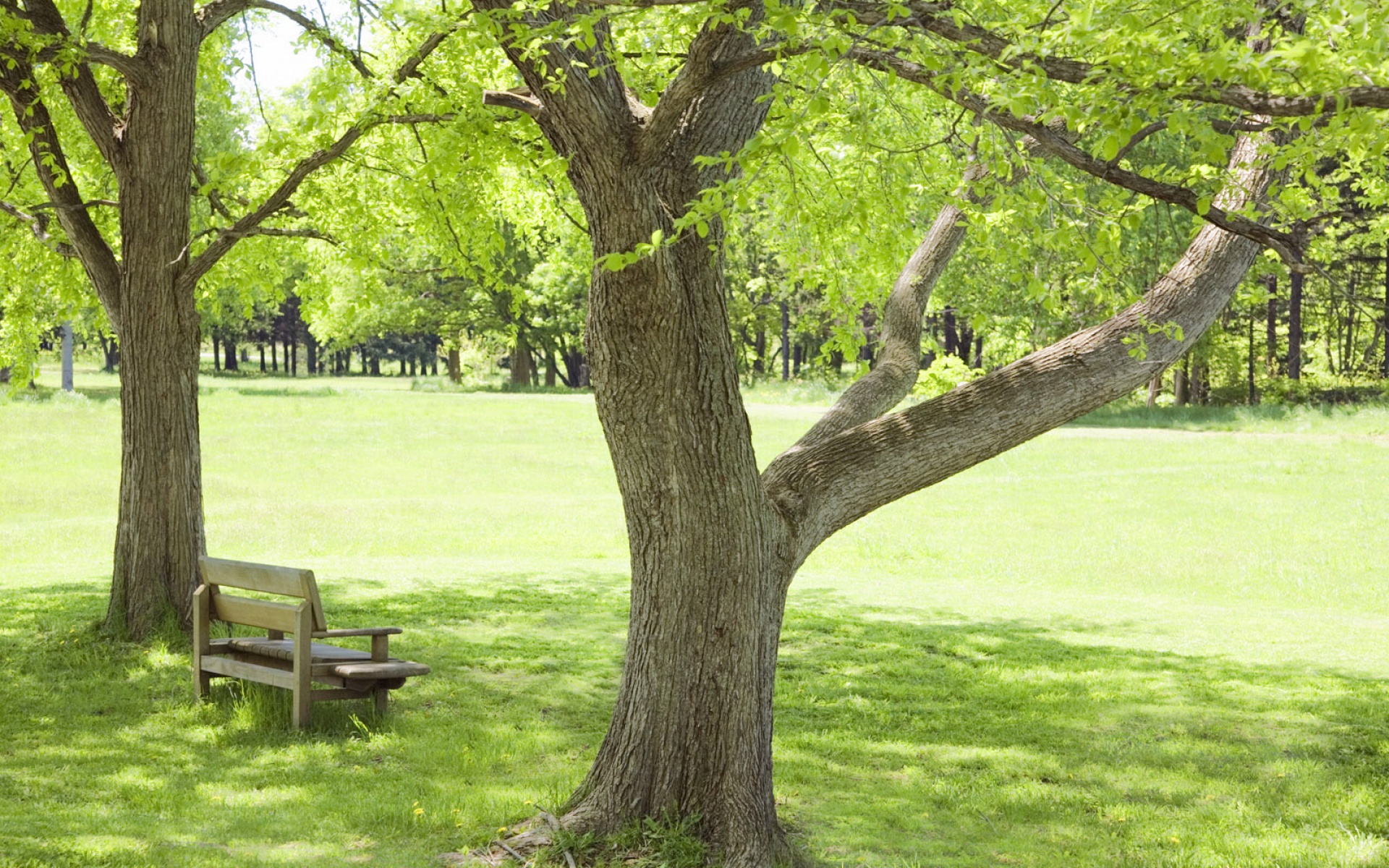 风景,自然风光,2012Y十一月10D,儿童桌面专用