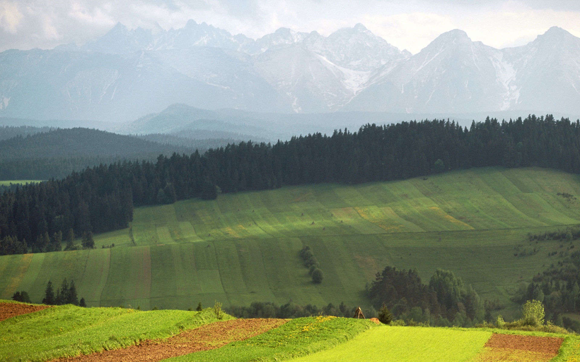 Webshots,2010年,十一月,精美,风光,动物,摄影,2012Y十月31D,儿童桌面专用