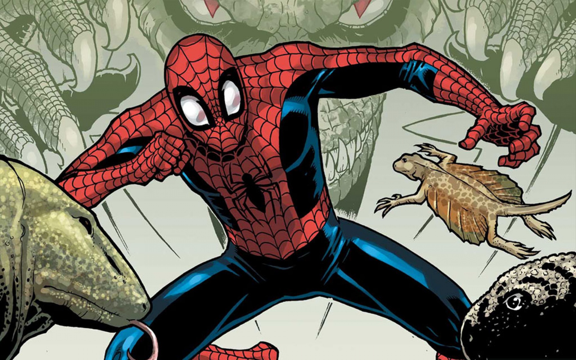 蜘蛛侠,游戏,2012Y十一月11D