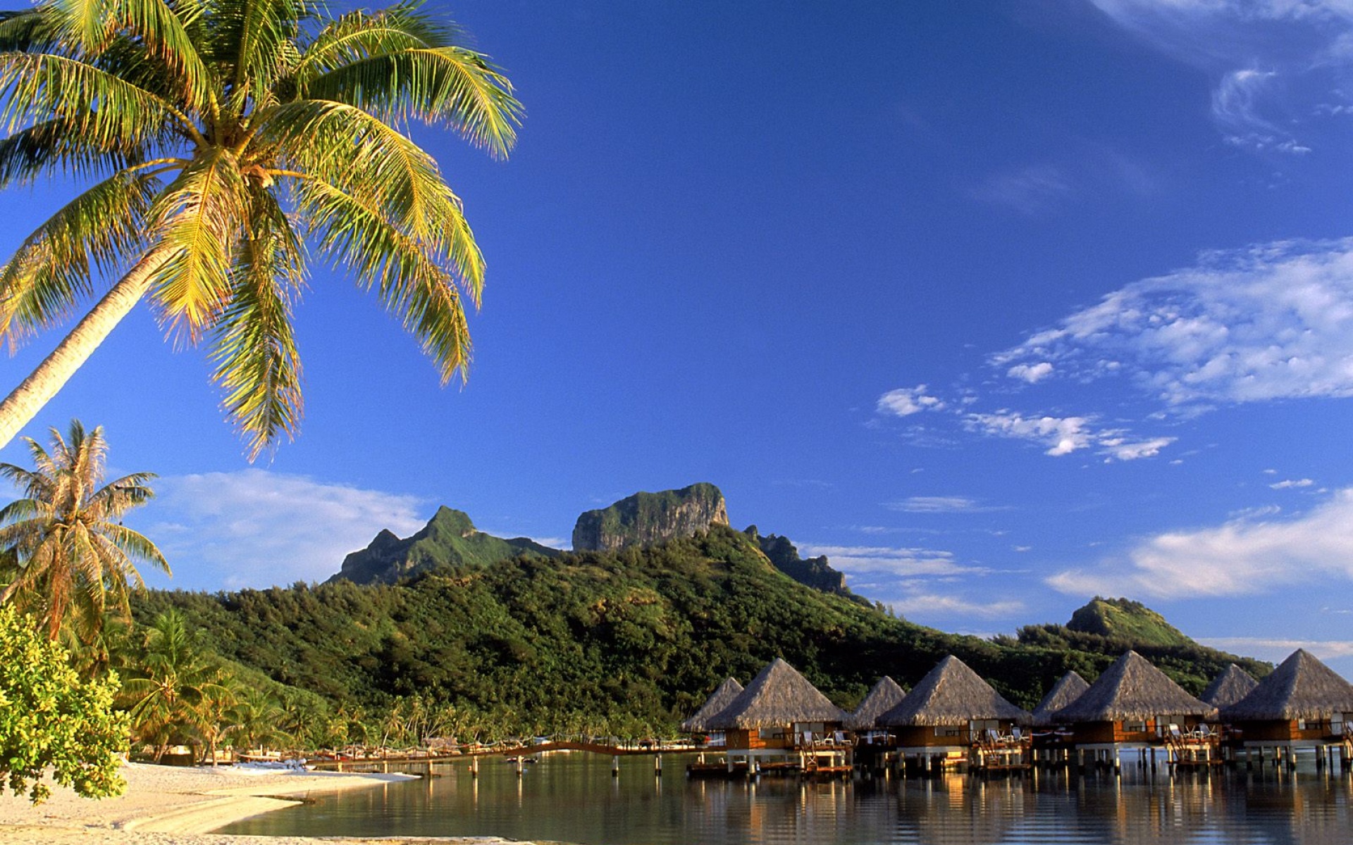 风景,海洋天堂,2012Y十一月04D,儿童桌面专用