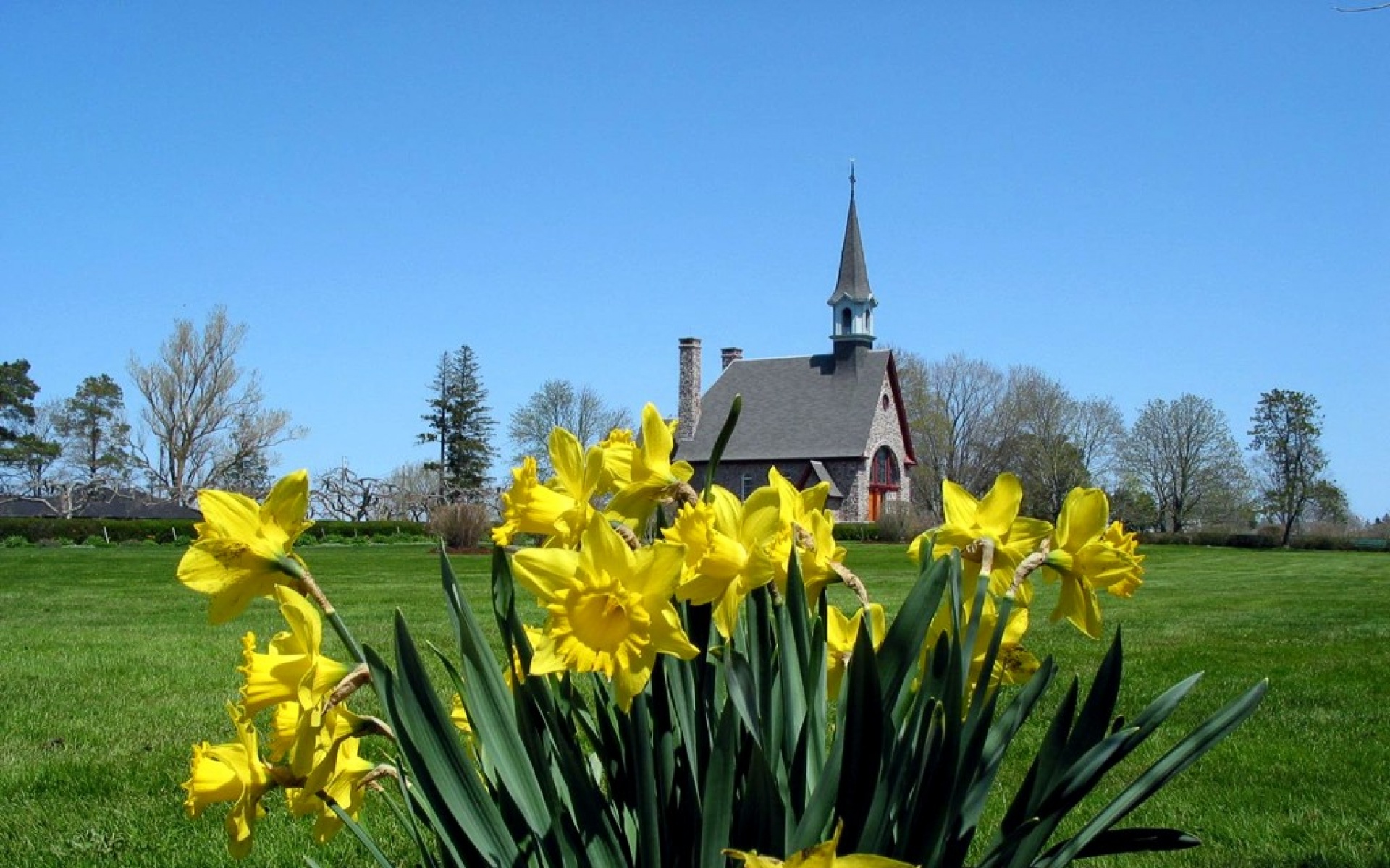 风景,自然风光,2012Y十一月11D,儿童桌面专用