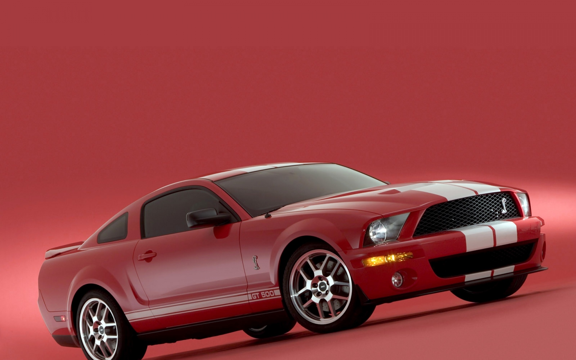 高清,福特,眼镜蛇,汽车,2012Y十一月12D,儿童桌面专用