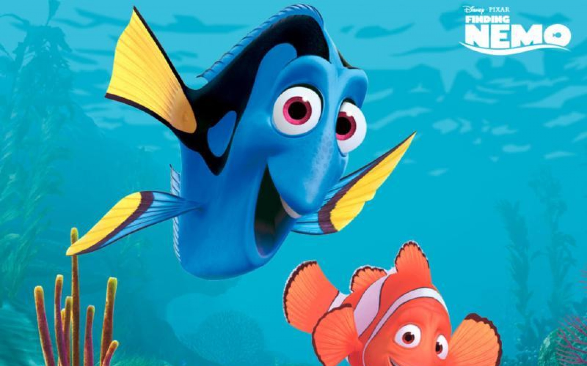 影视,精选,2012Y十一月12D,海底,总动员