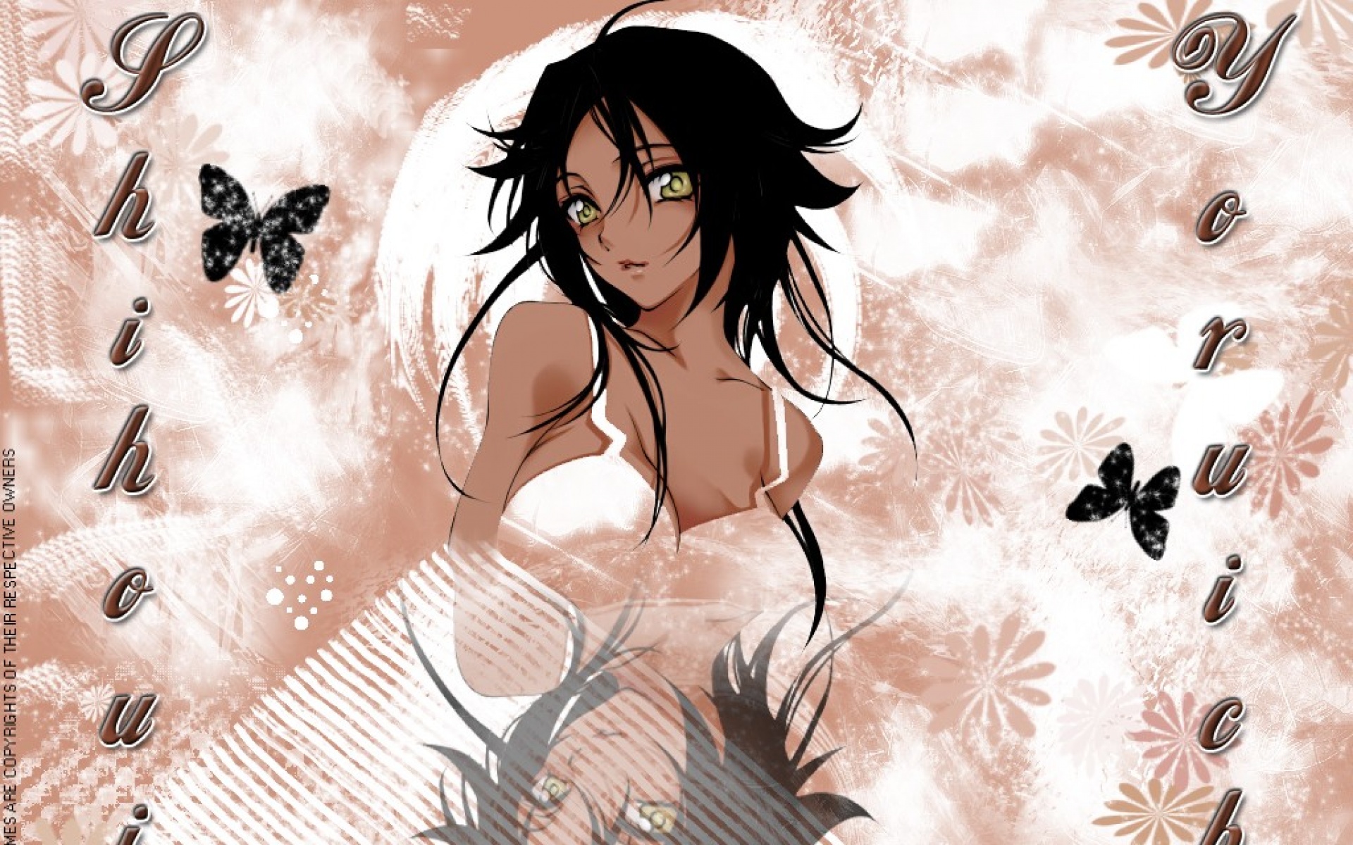 死神,卡通,2012Y十一月21D