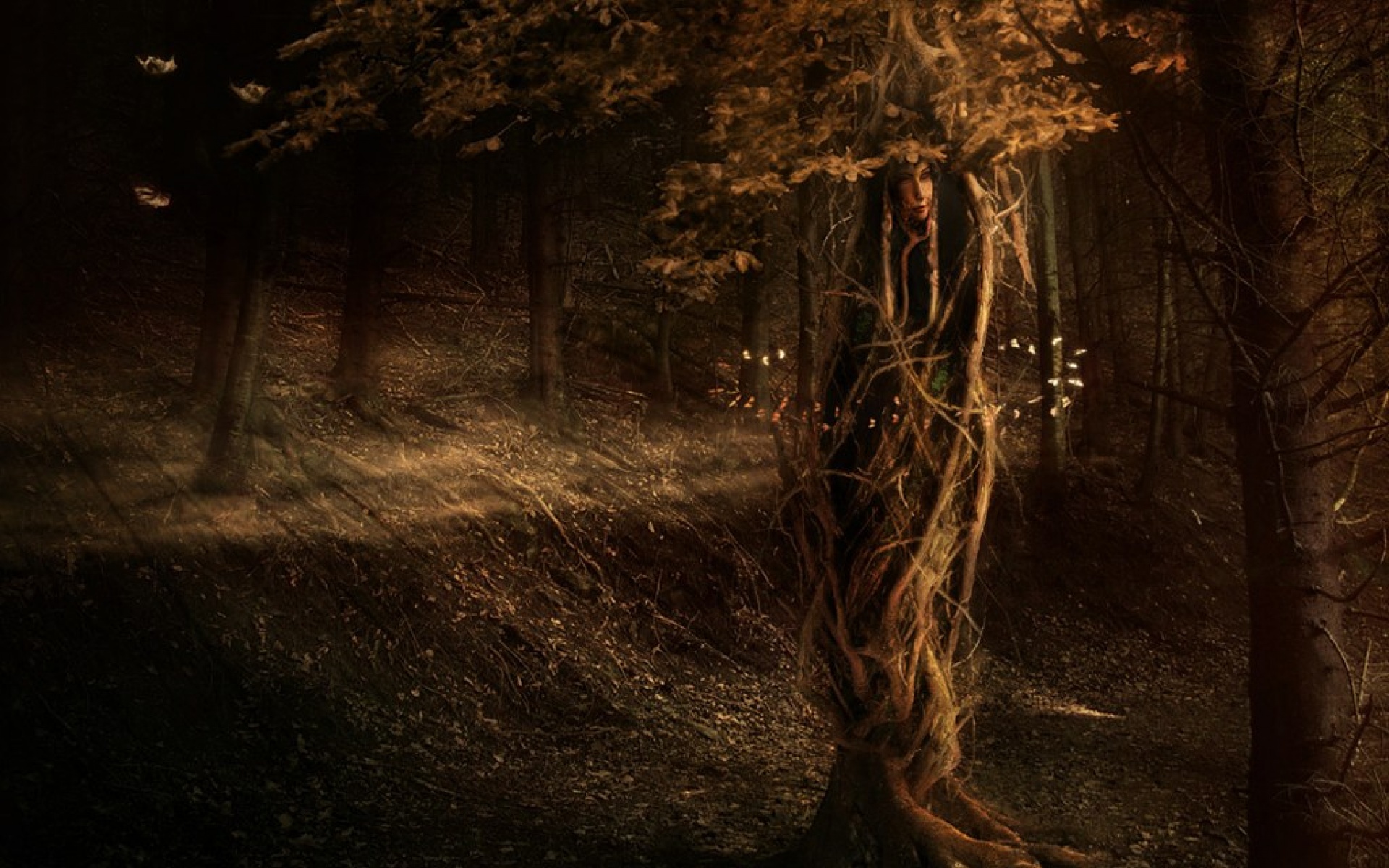 魔幻,世界,设计,精美,插画,2012Y十一月04D,创意