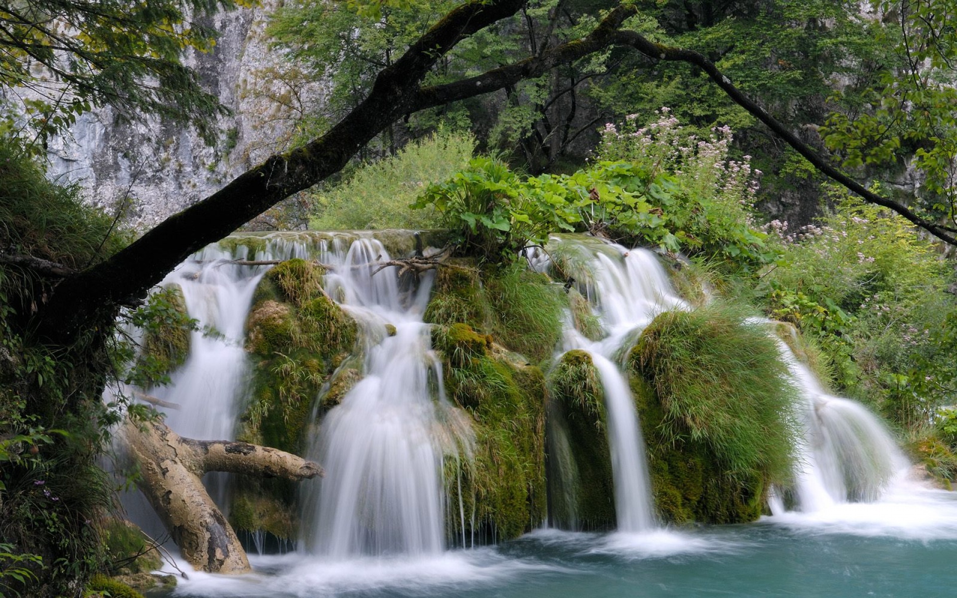 风景,自然风光,2012Y十一月11D,儿童桌面专用