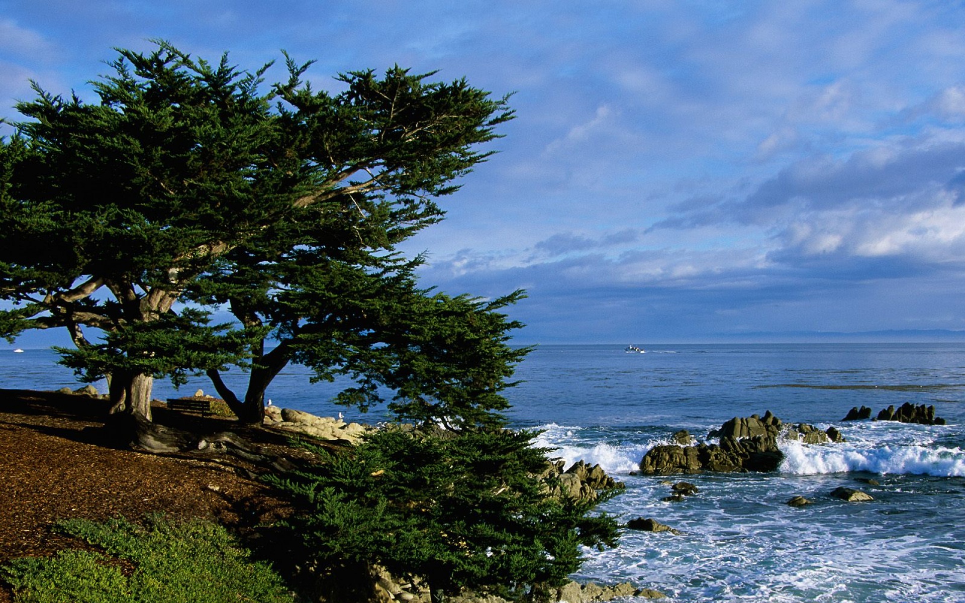 风景,自然风光,2012Y十一月10D,儿童桌面专用