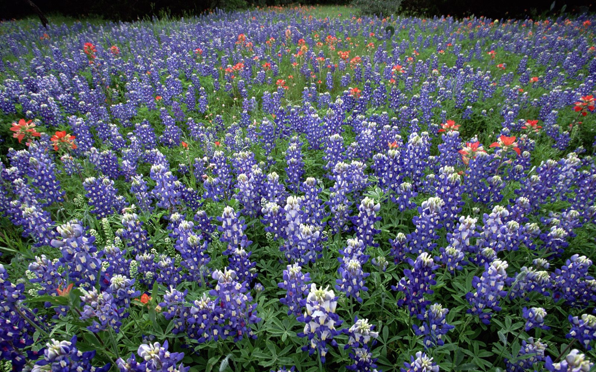 风景,自然风光,2012Y十一月04D,儿童桌面专用