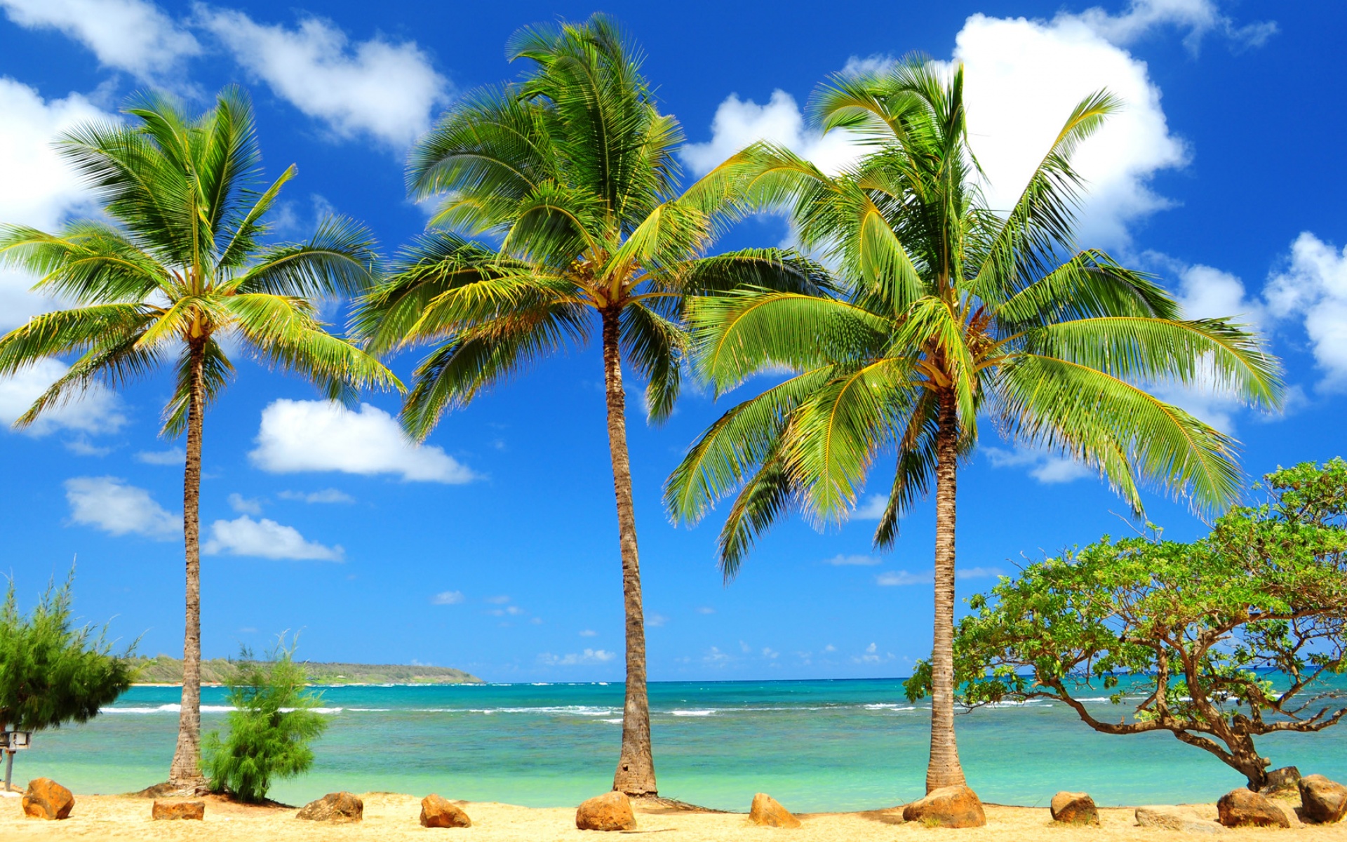 风景,海洋天堂,2012Y十月30D,儿童桌面专用