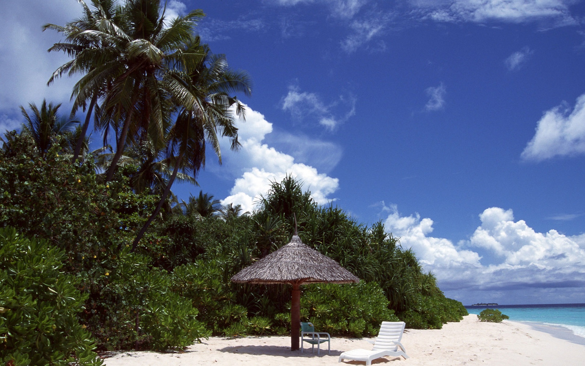 风景,海洋天堂,2012Y十一月12D,儿童桌面专用