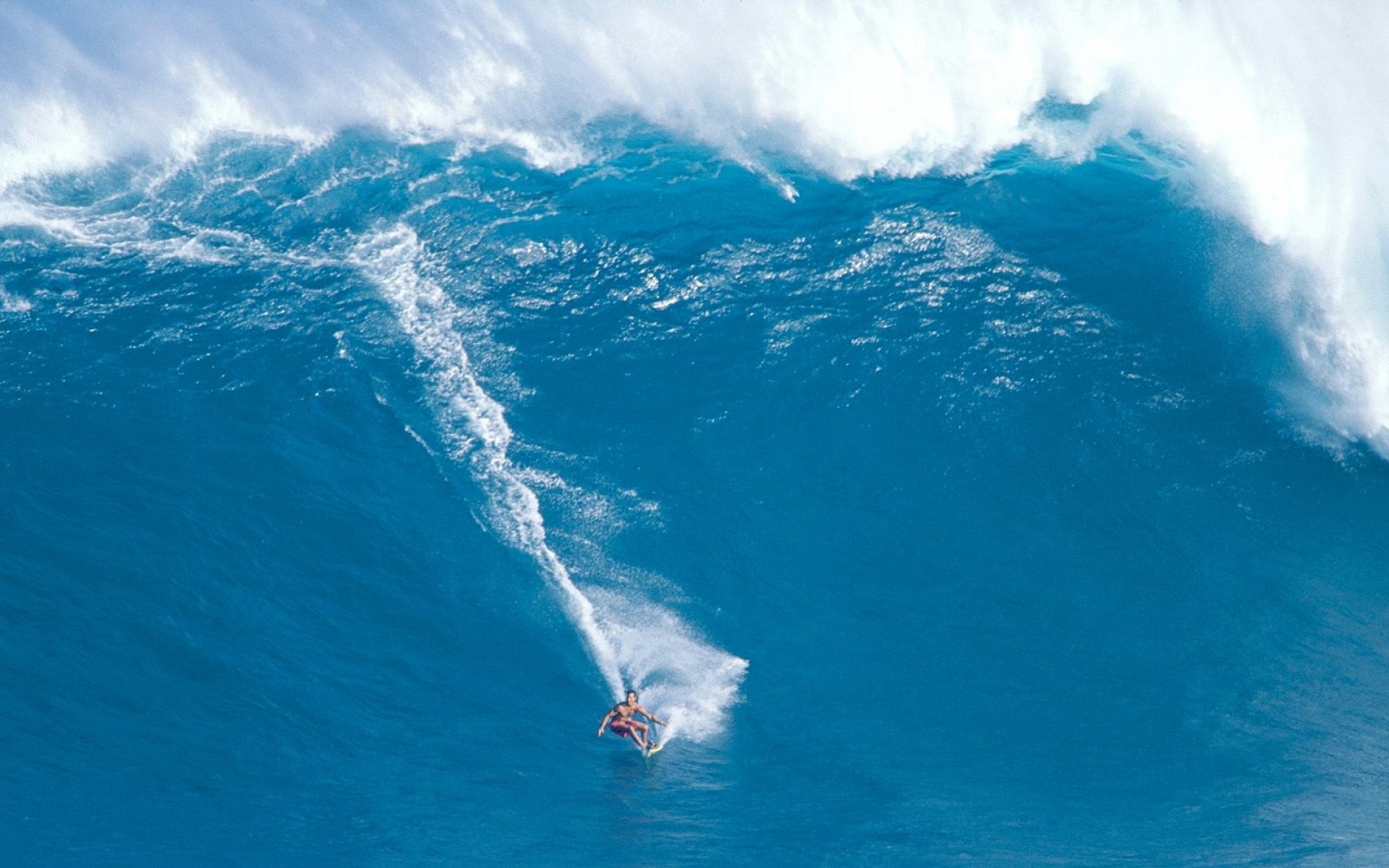 风景,海洋天堂,2012Y十一月04D,儿童桌面专用