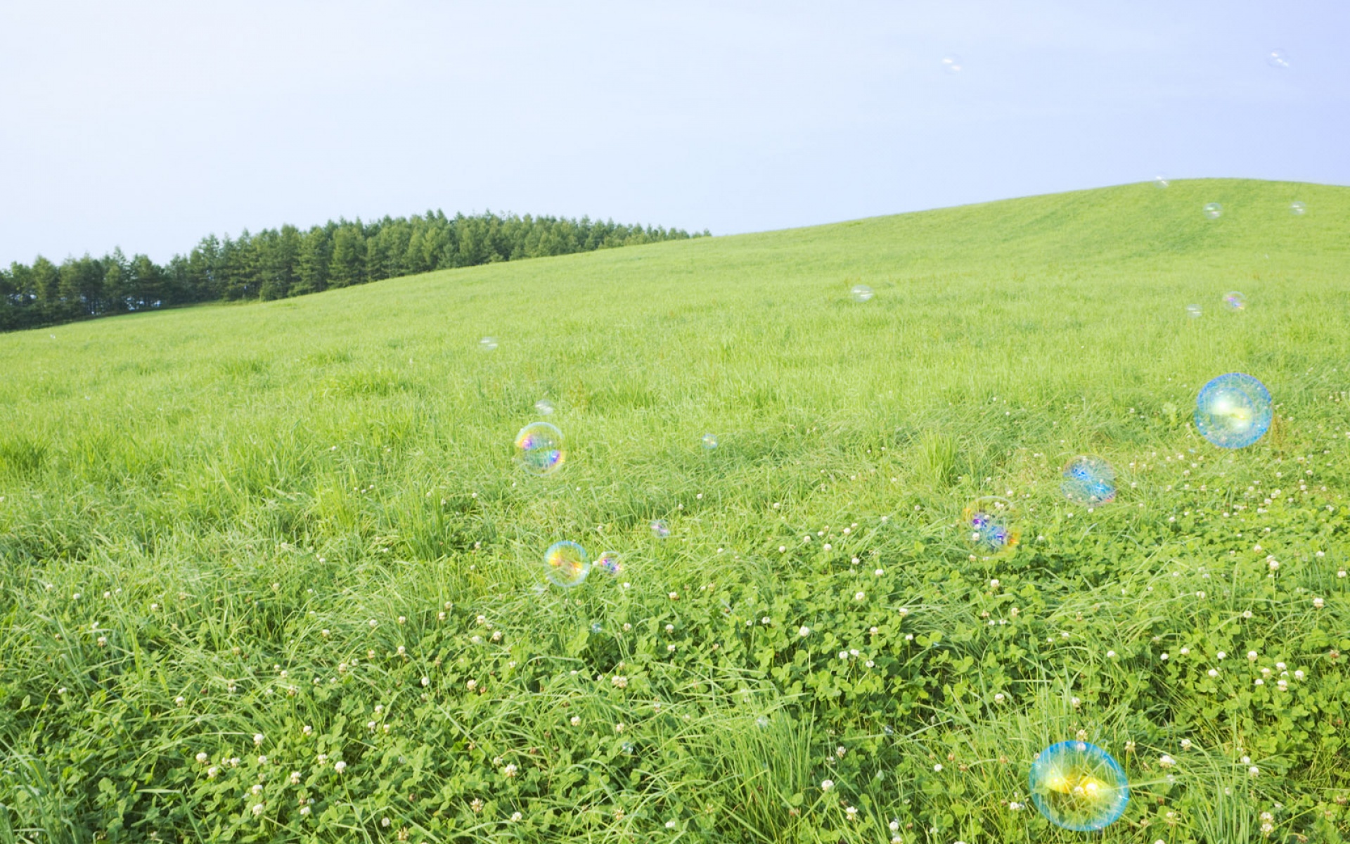风景,碧绿草原,2012Y十一月11D,儿童桌面专用