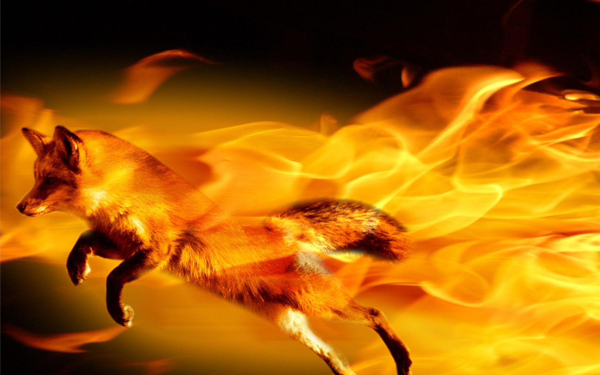 焰火,主题,设计,2012Y十一月04D,创意,儿童桌面专用