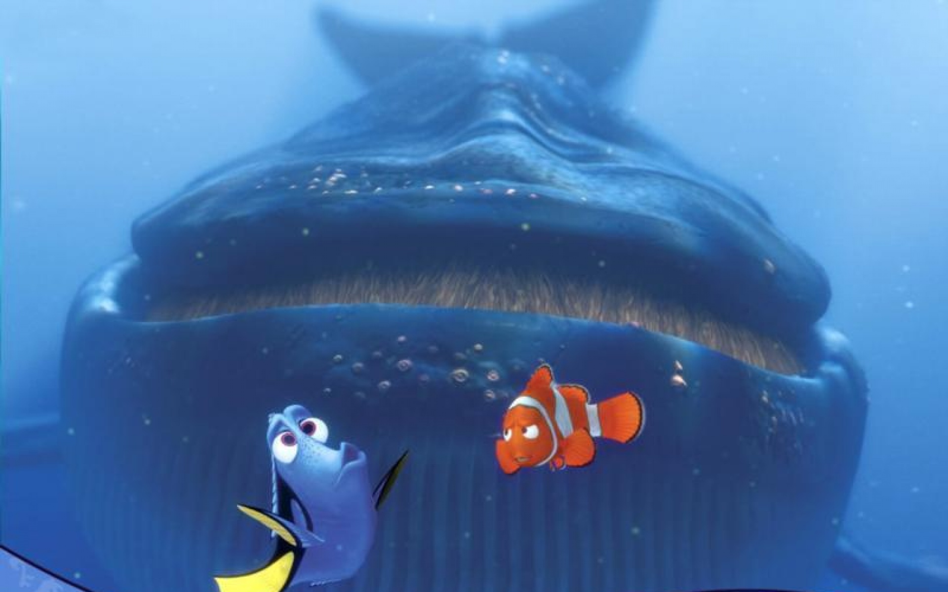 影视,海底,总动员,2012Y十一月13D