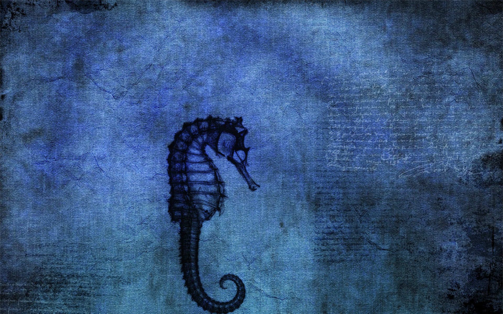 设计,简约,蓝色,儿童桌面专用