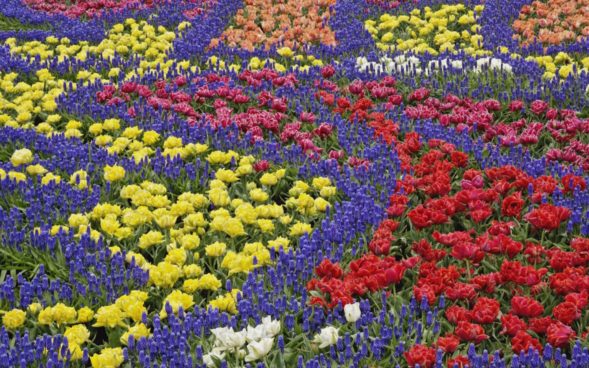 风景,自然风光,2012Y十一月04D,儿童桌面专用