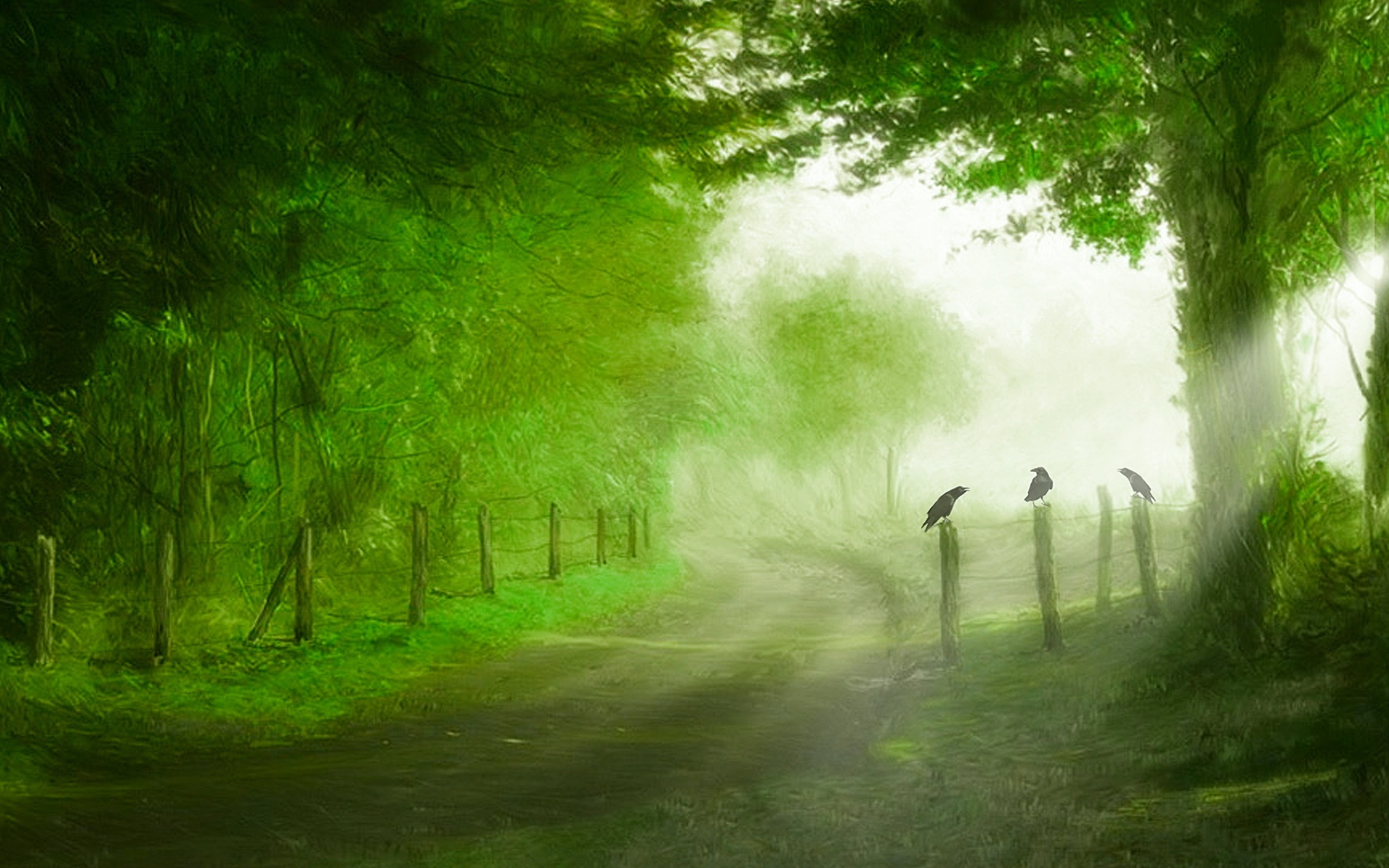 蓝天,白云,草地,小路,2012Y十月31D,儿童桌面专用