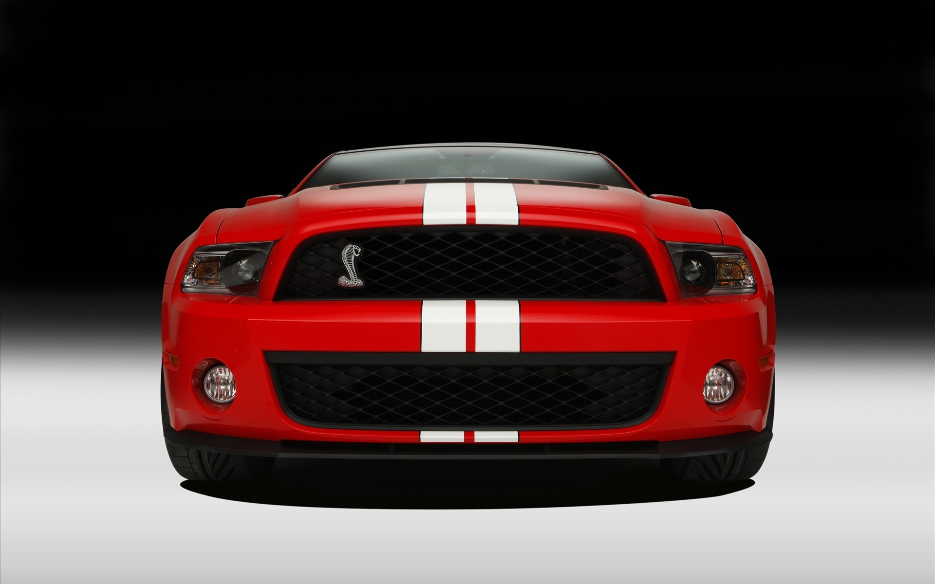 Ford,福特,汽车,跑车,GT,野马,福特野马,2012Y十一月03D,儿童桌面专用