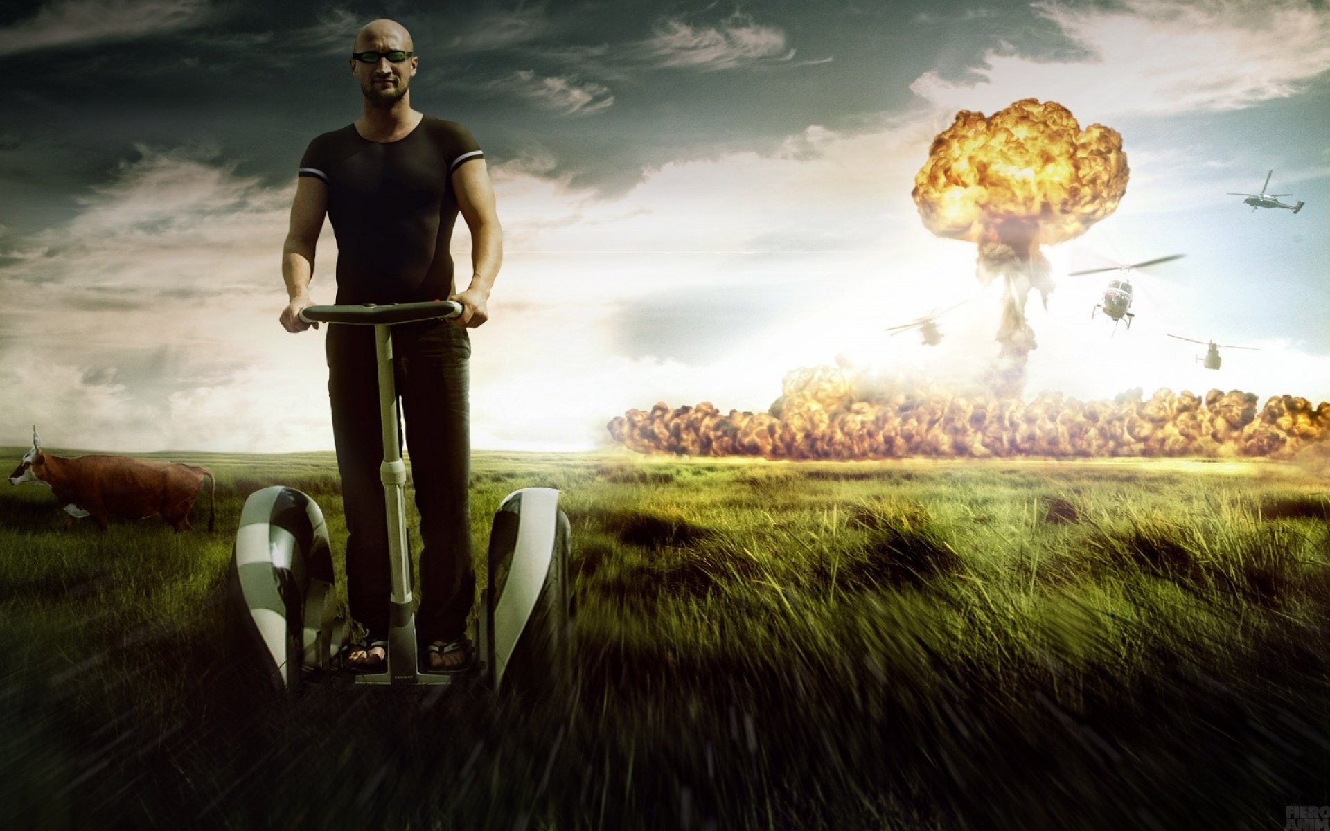 俄罗斯,FIERO,ANIMALS,设计,作品,创意,2012Y十一月08D