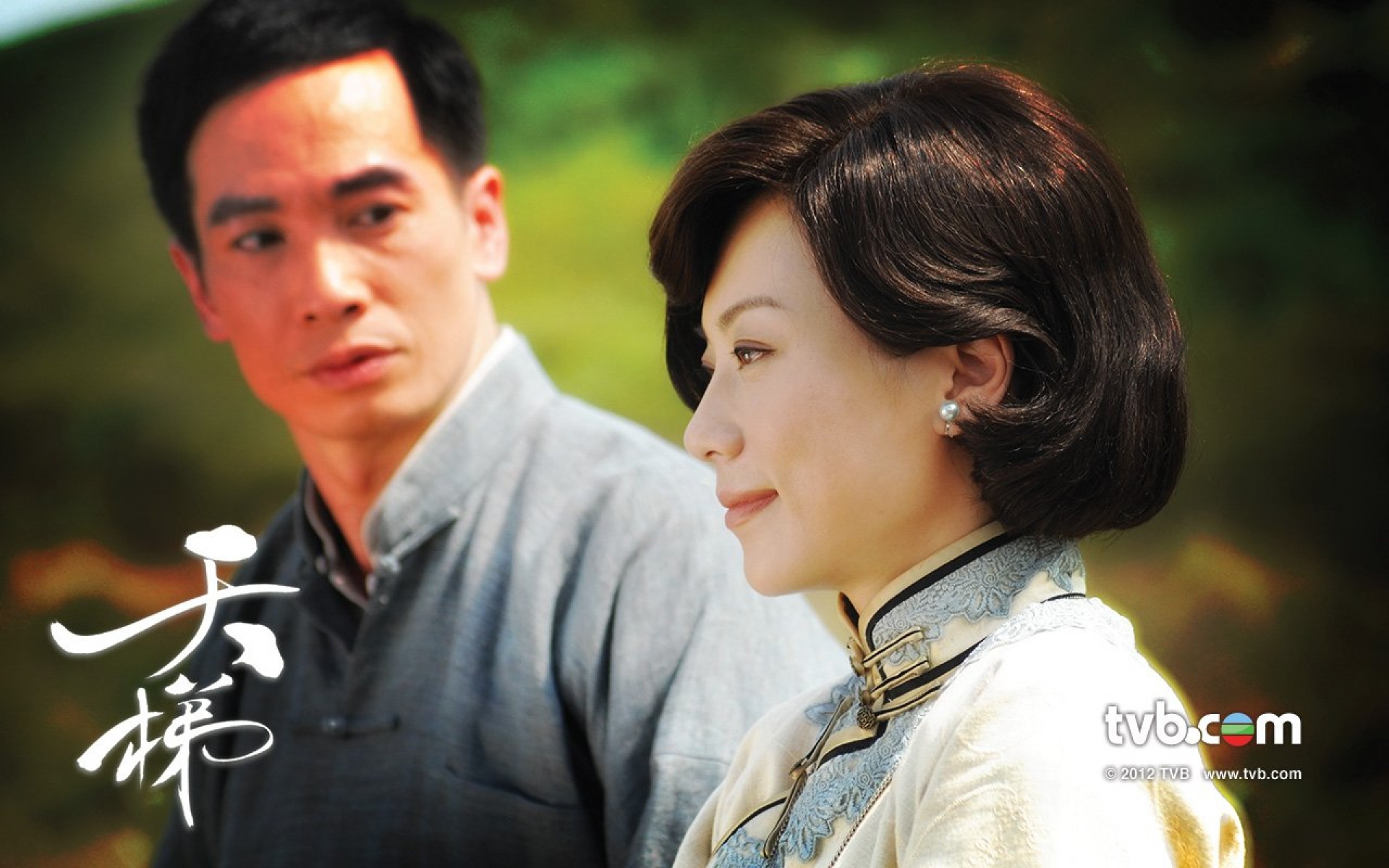 天梯,TVB,影视,电视剧,2012Y十一月04D,热门剧集