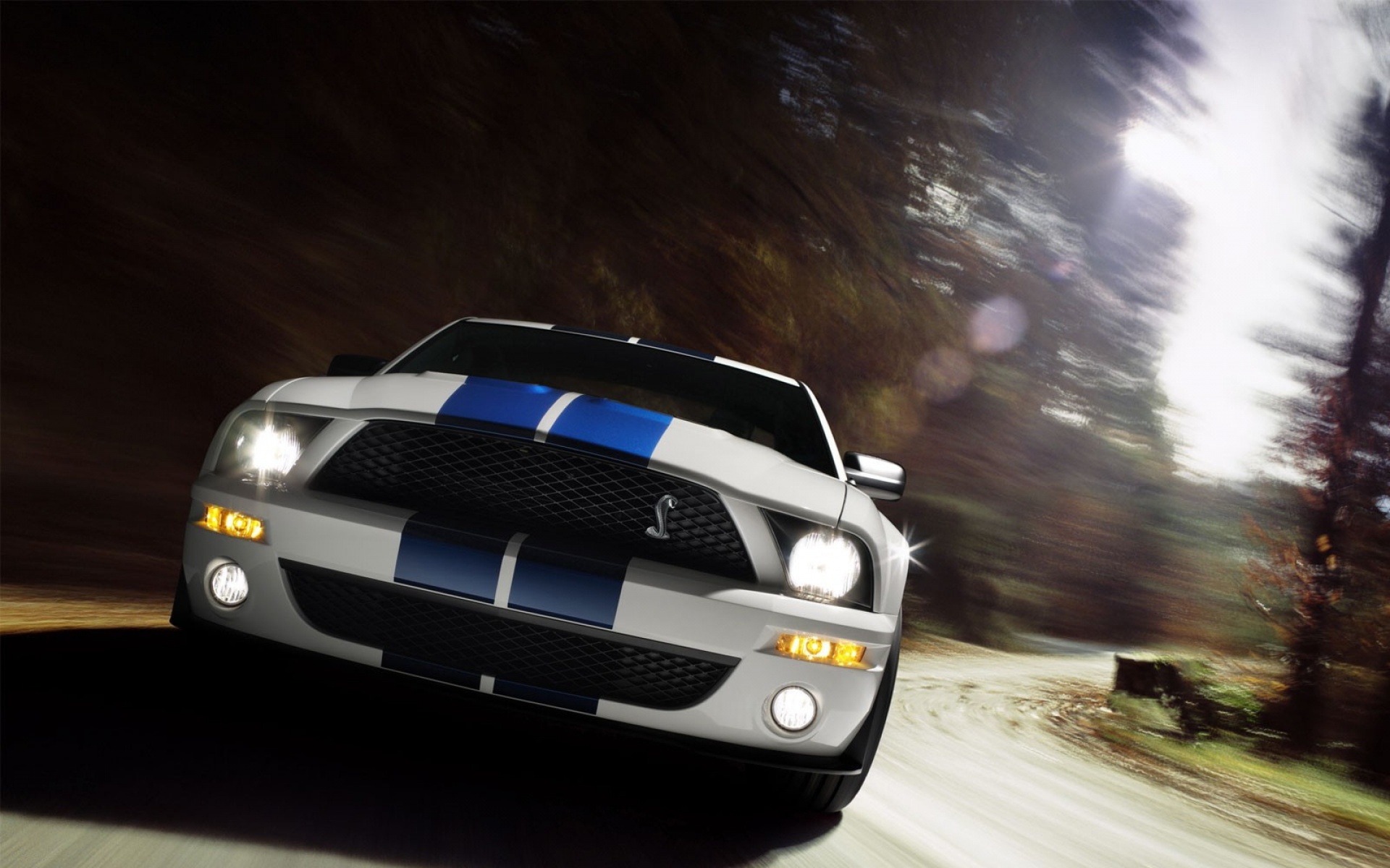 高清,汽车,2012Y十一月12D,儿童桌面专用