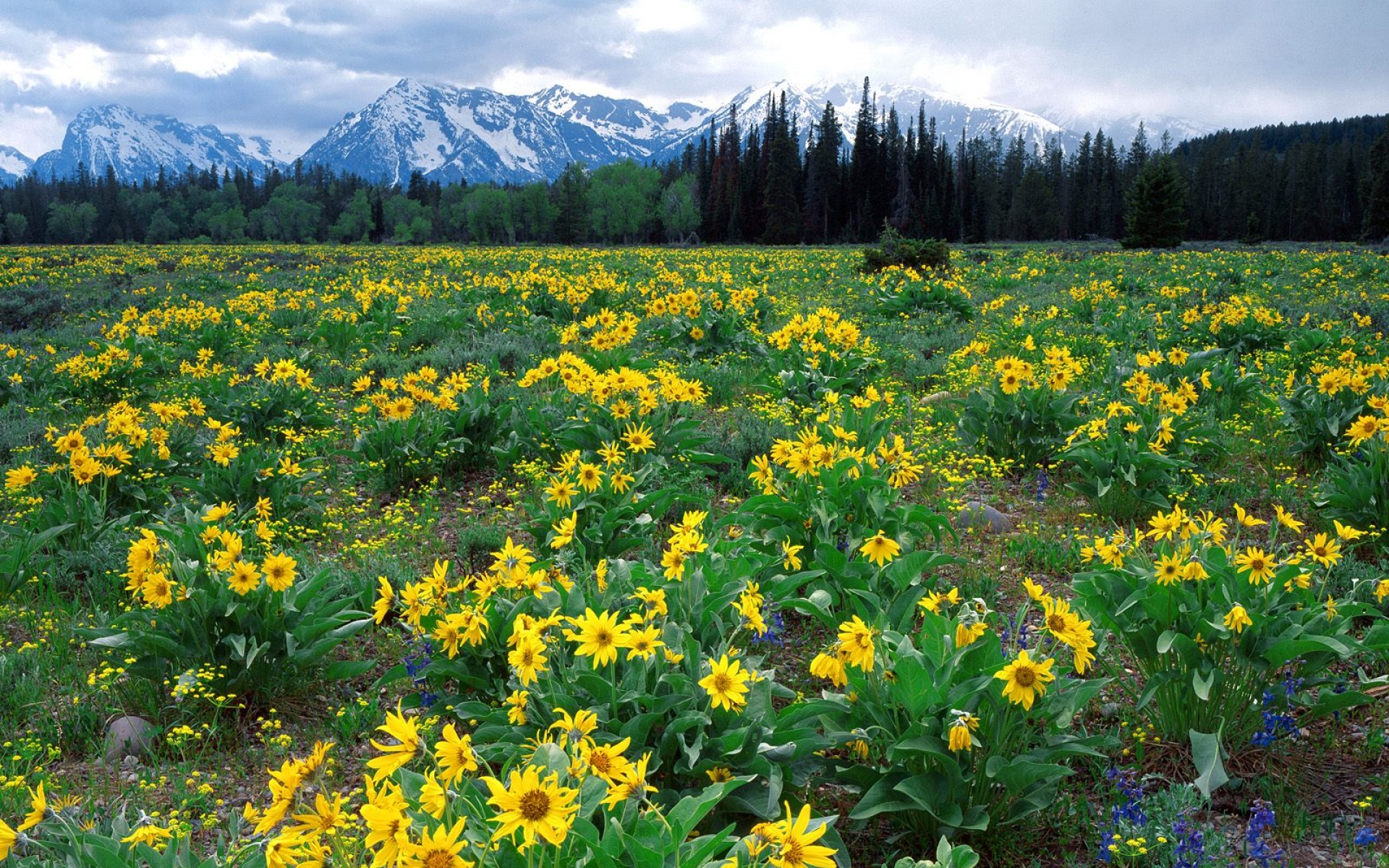 风景,自然风光,2012Y十一月11D,儿童桌面专用