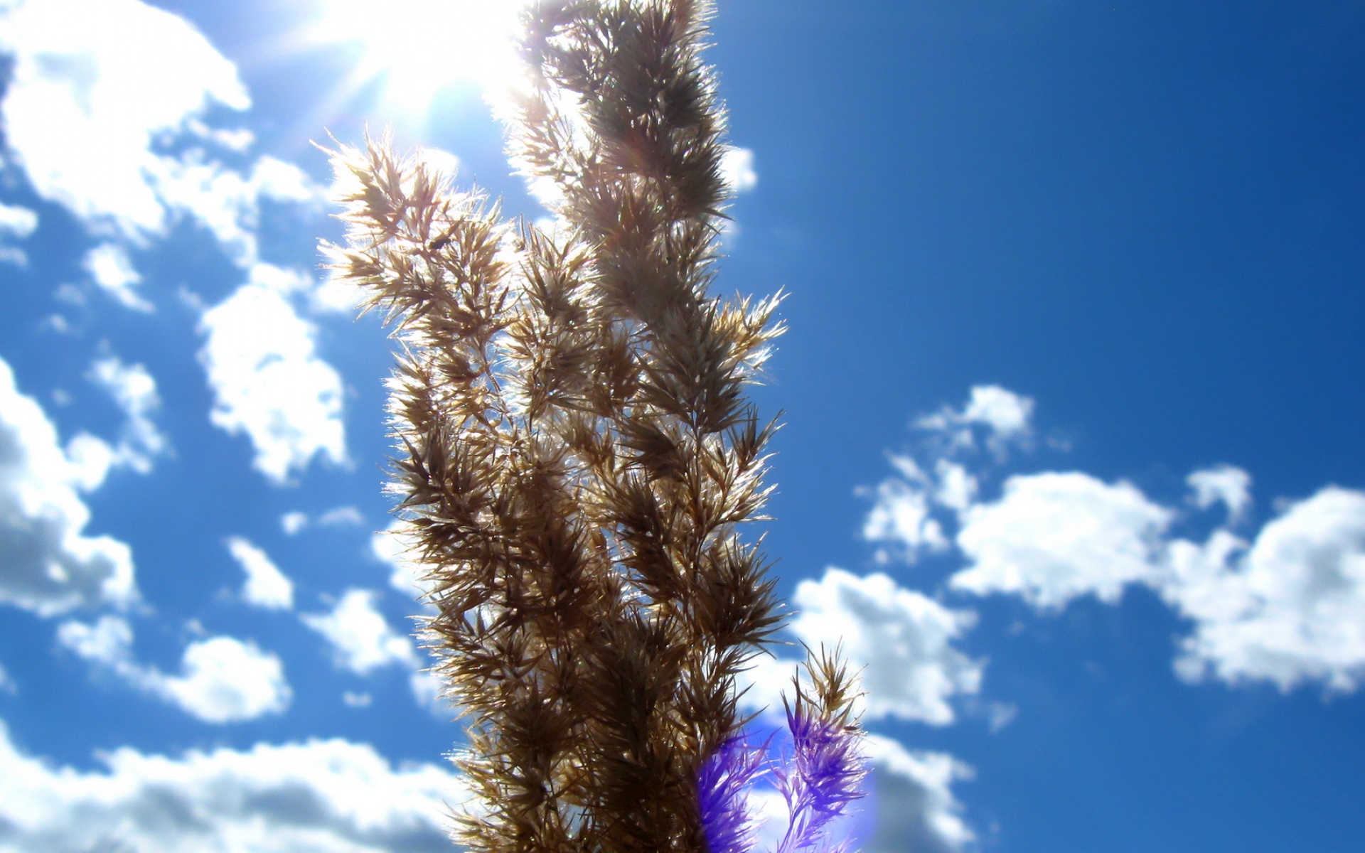 风景,蓝天白云,2012Y十月30D,儿童桌面专用
