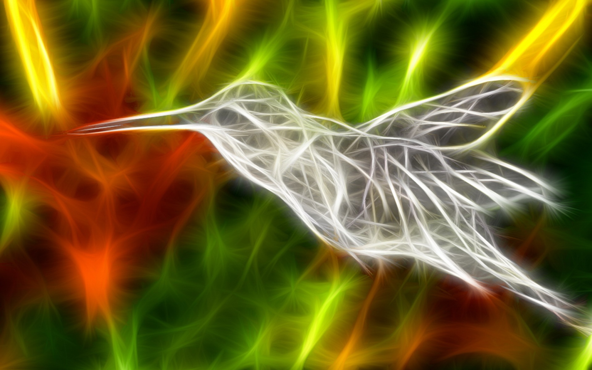 光线,描绘,宽屏,动物,植物,2012Y十一月04D,儿童桌面专用