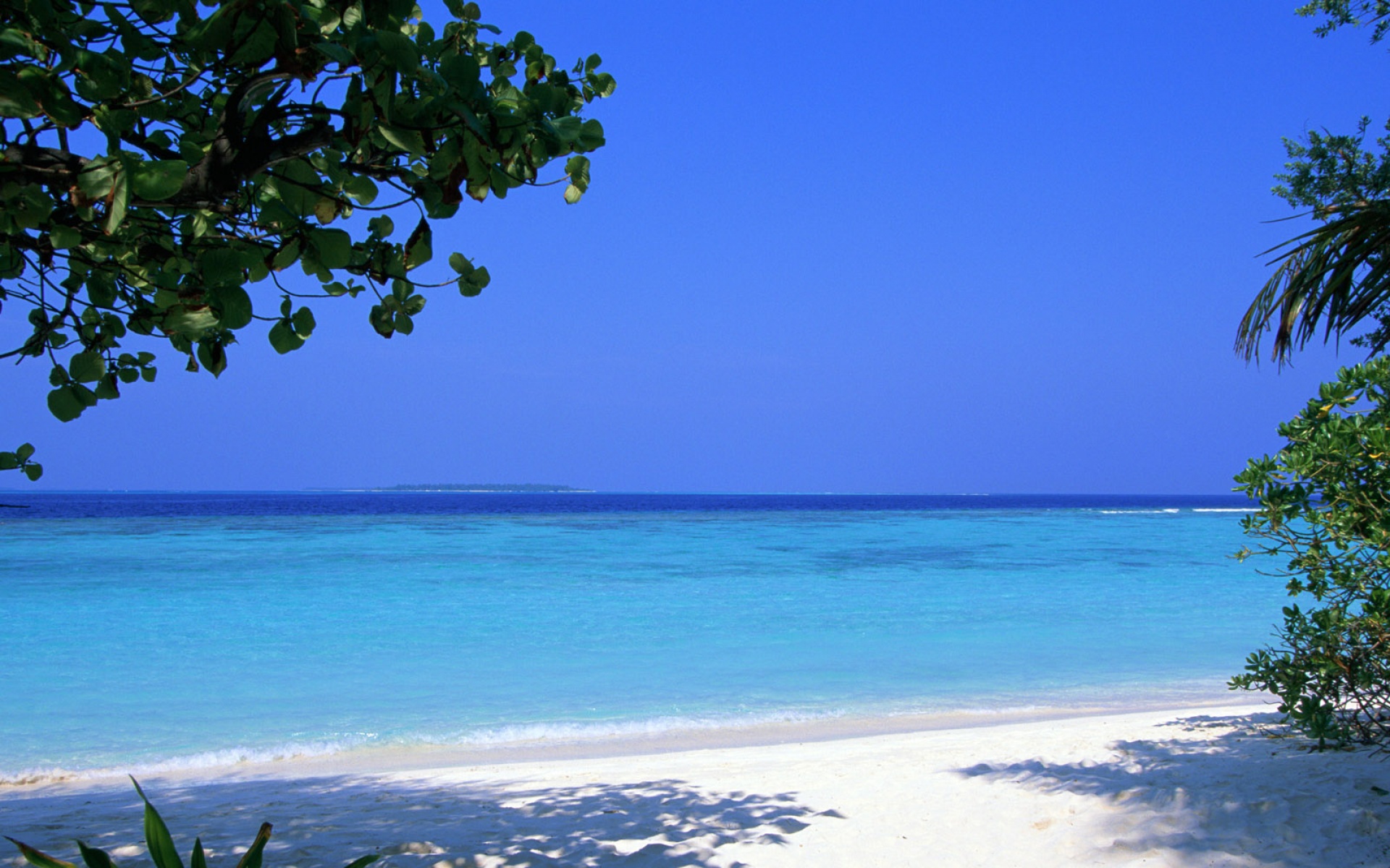 风景,海洋天堂,2012Y十一月12D,儿童桌面专用