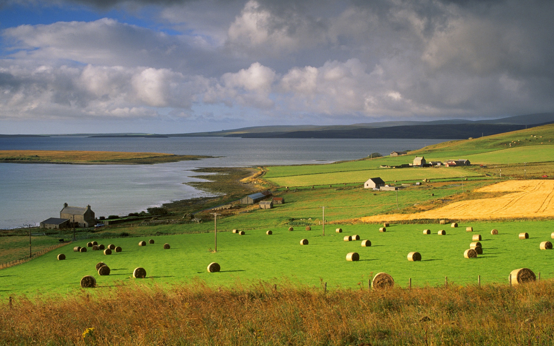 风景,碧绿草原,2012Y十月30D,儿童桌面专用