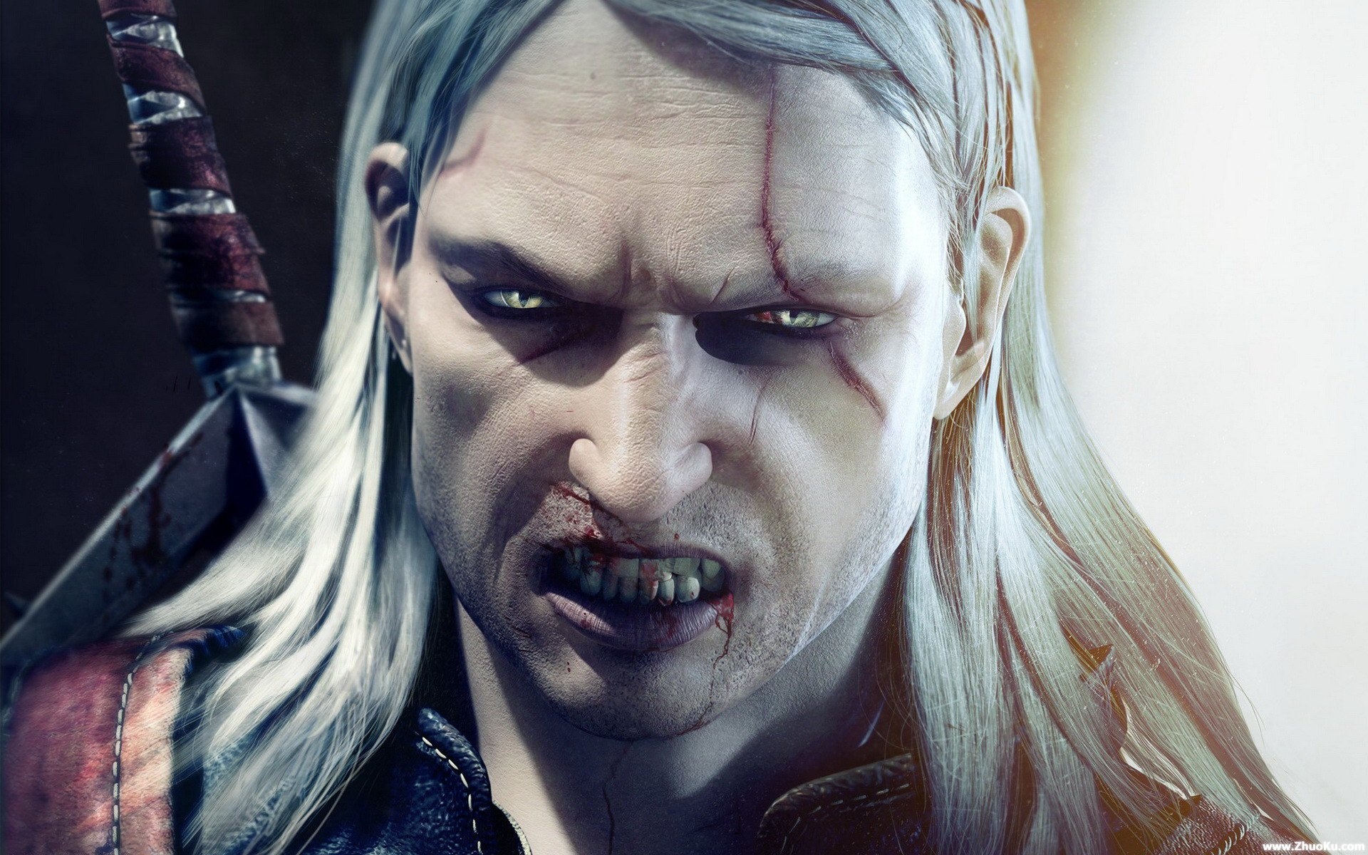 巫师,狩魔猎人,Witcher,高清,游戏,2012Y十一月04D