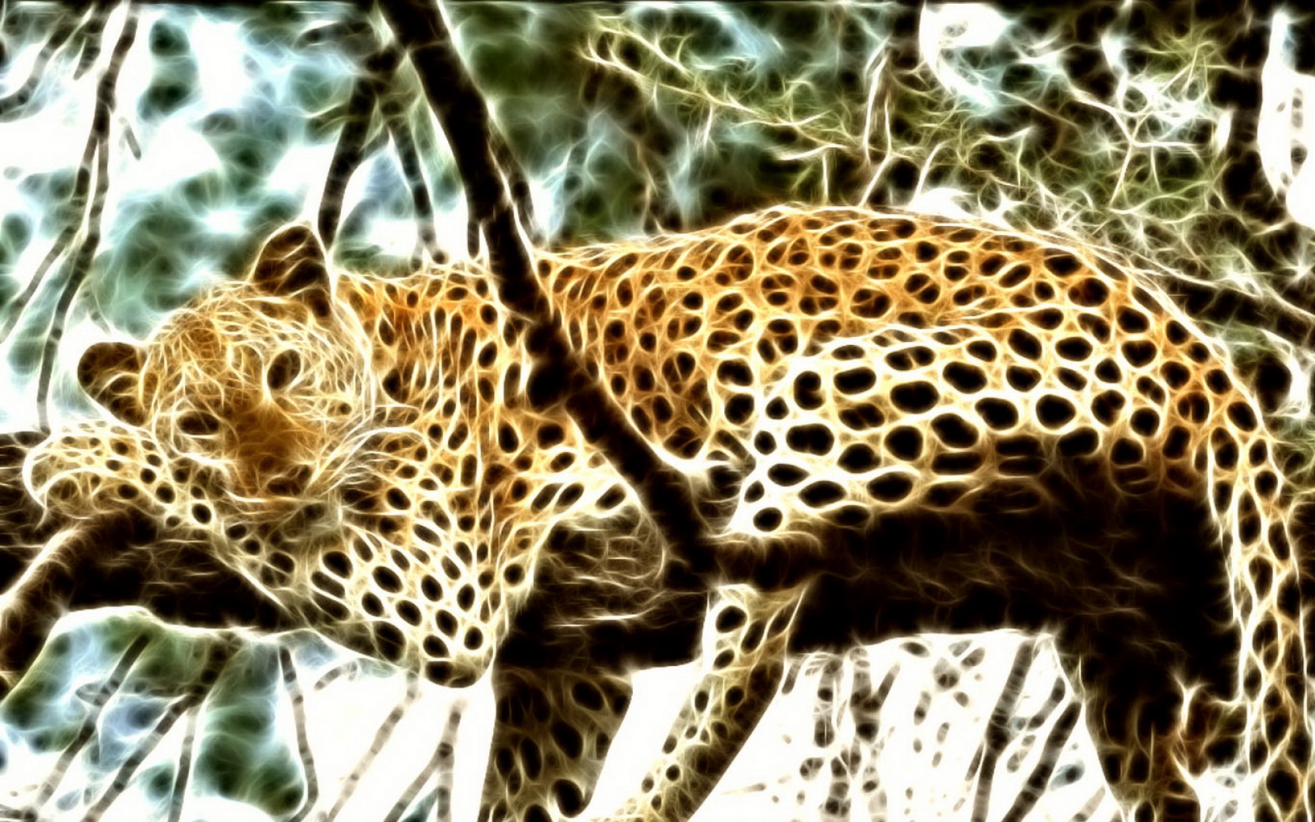 光线,描绘,猫科,动物,2012Y十一月04D,儿童桌面专用