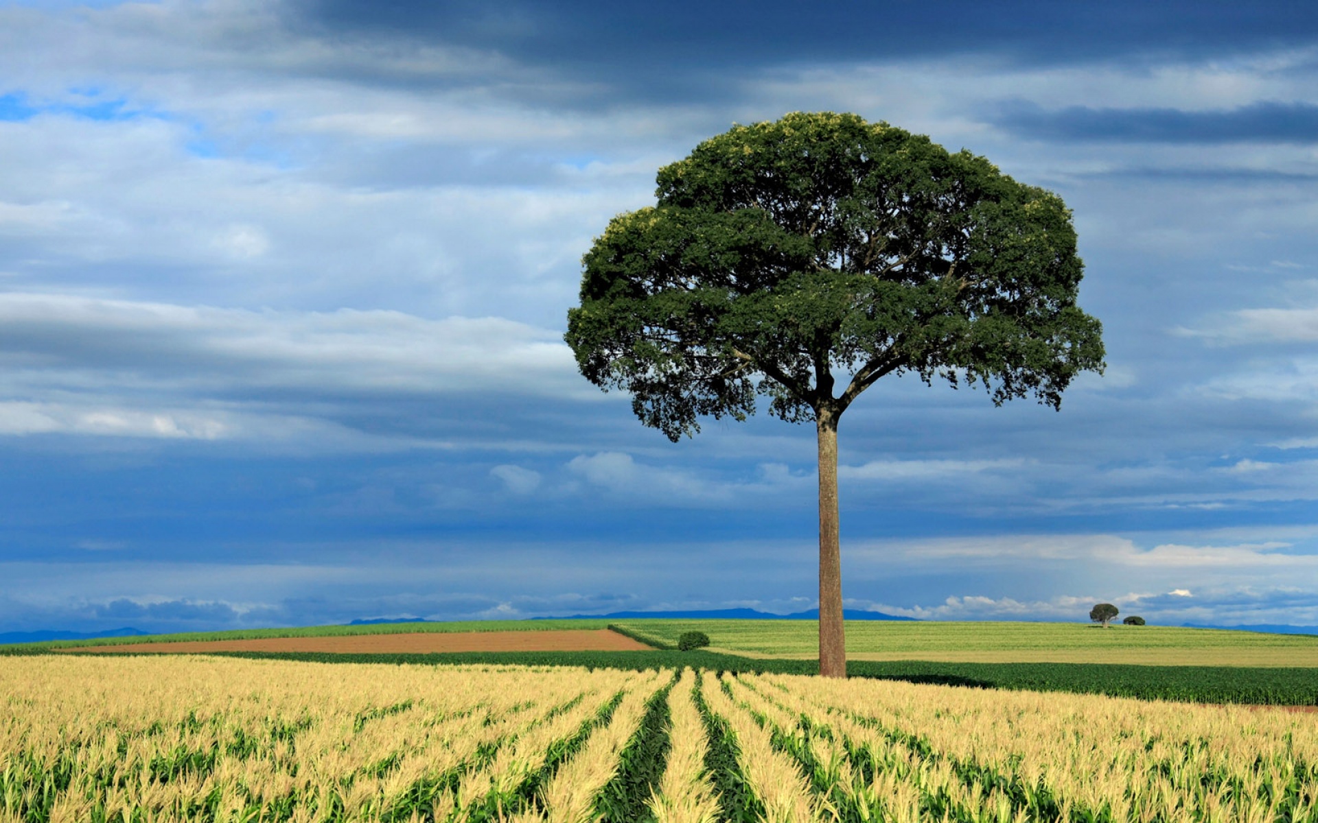 世界地理,精美,风光,风景,高清,2012Y十月31D,儿童桌面专用