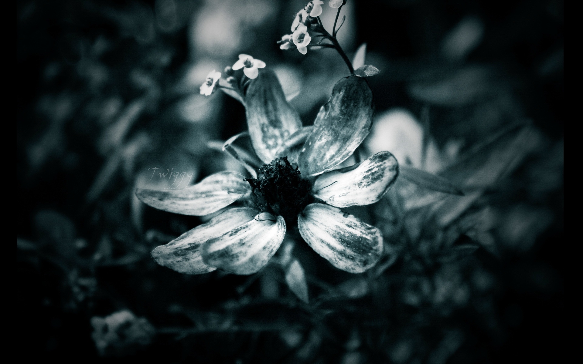 冷色,摄影,宽屏,电脑,设计,2012Y十月30D