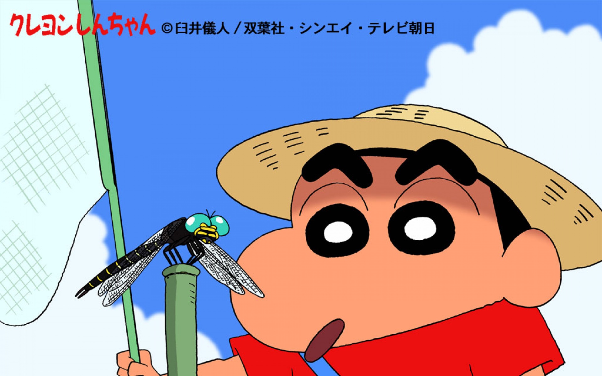 蜡笔小新,卡通,动漫,2012Y十一月03D,儿童桌面专用