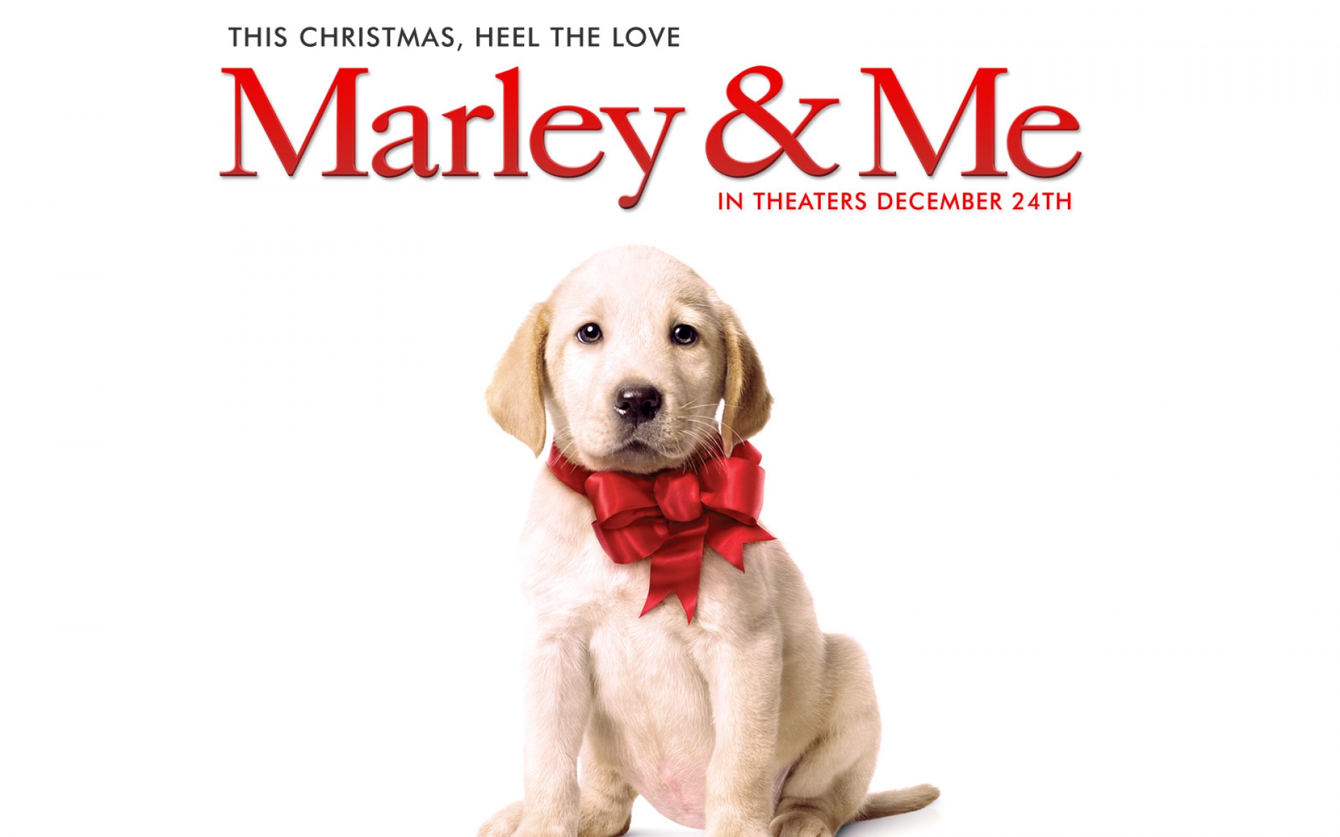 电影,影视,2012Y十一月08D